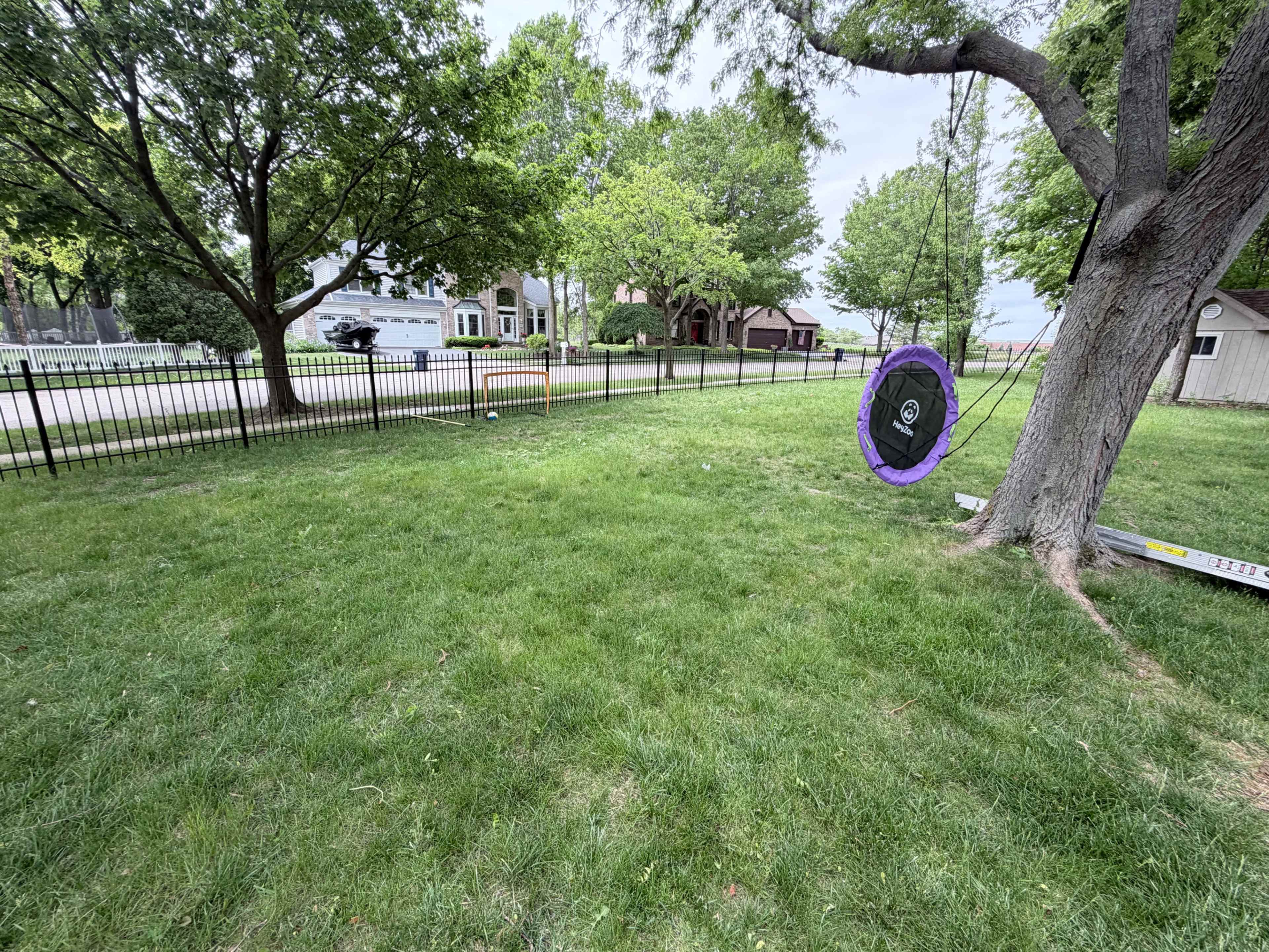 A purple swing hangs from a tree in a grassy yard, with a house and road visible in the background.