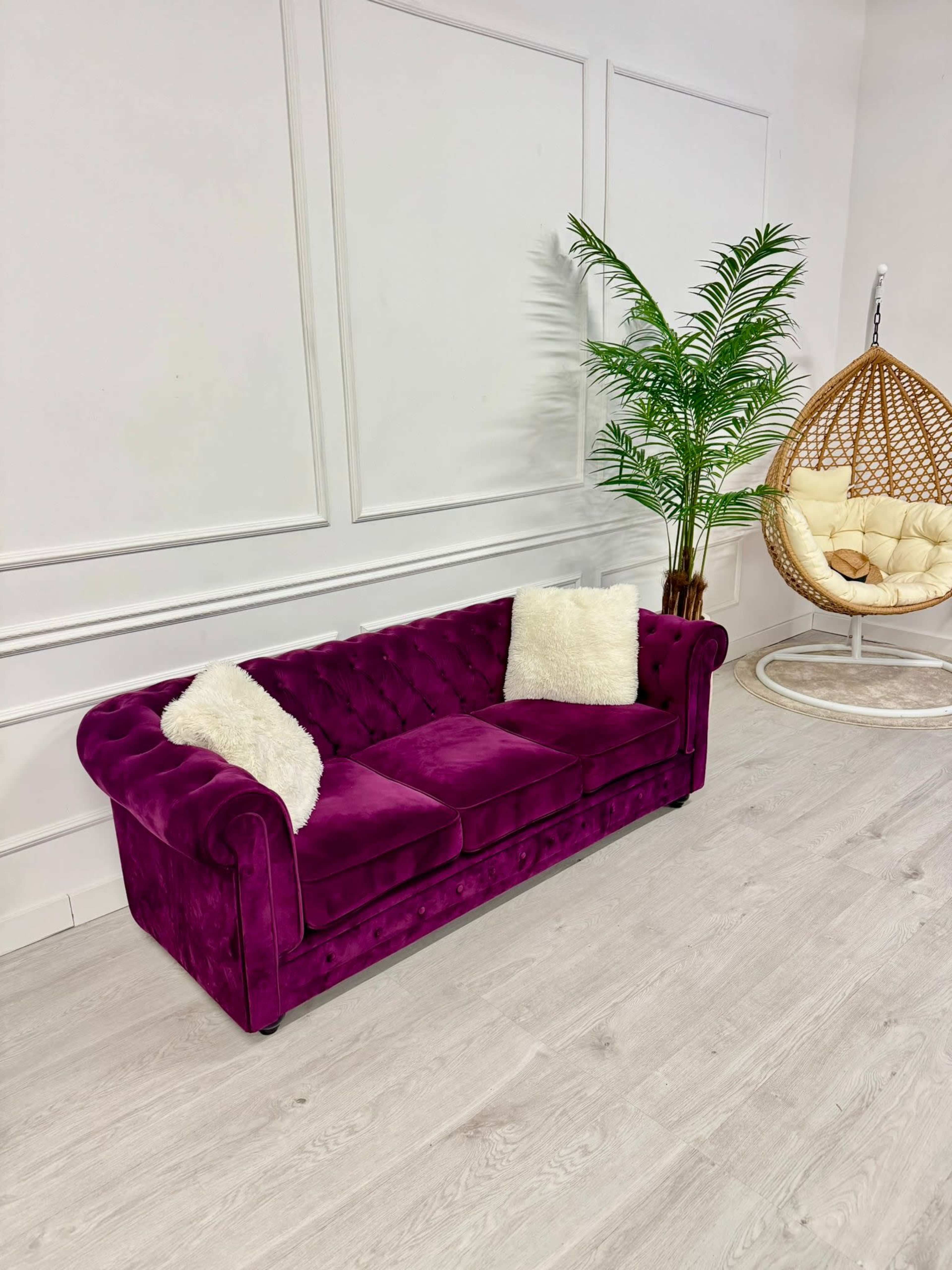 A purple tufted sofa with two white pillows sits against a white wall, beside a potted palm and a hanging chair.