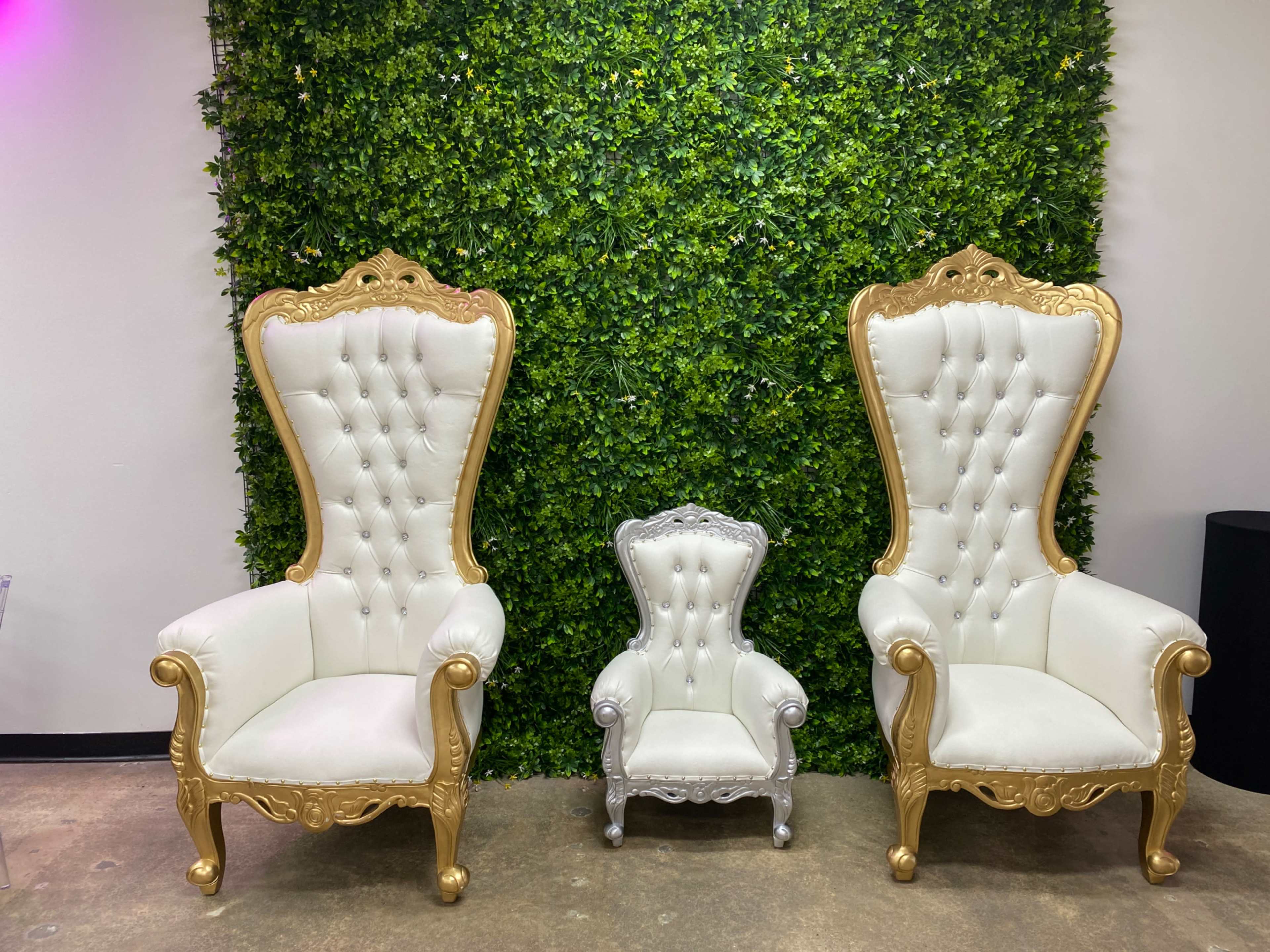 Garden-Themed Event Space w/ Complete Setup Included Image in Southwest Carrollton, Dallas, TX