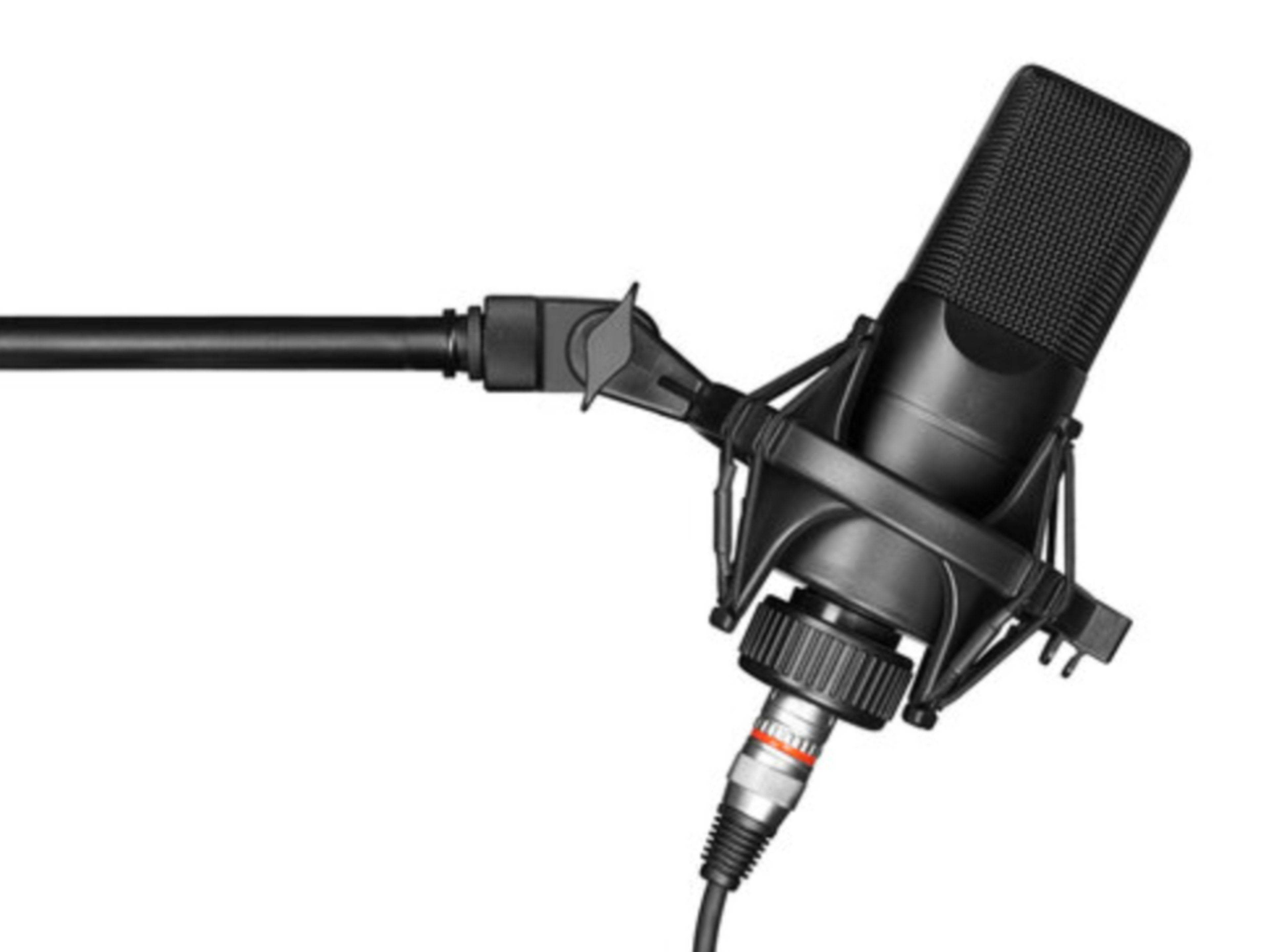 Additional Podcast Microphone