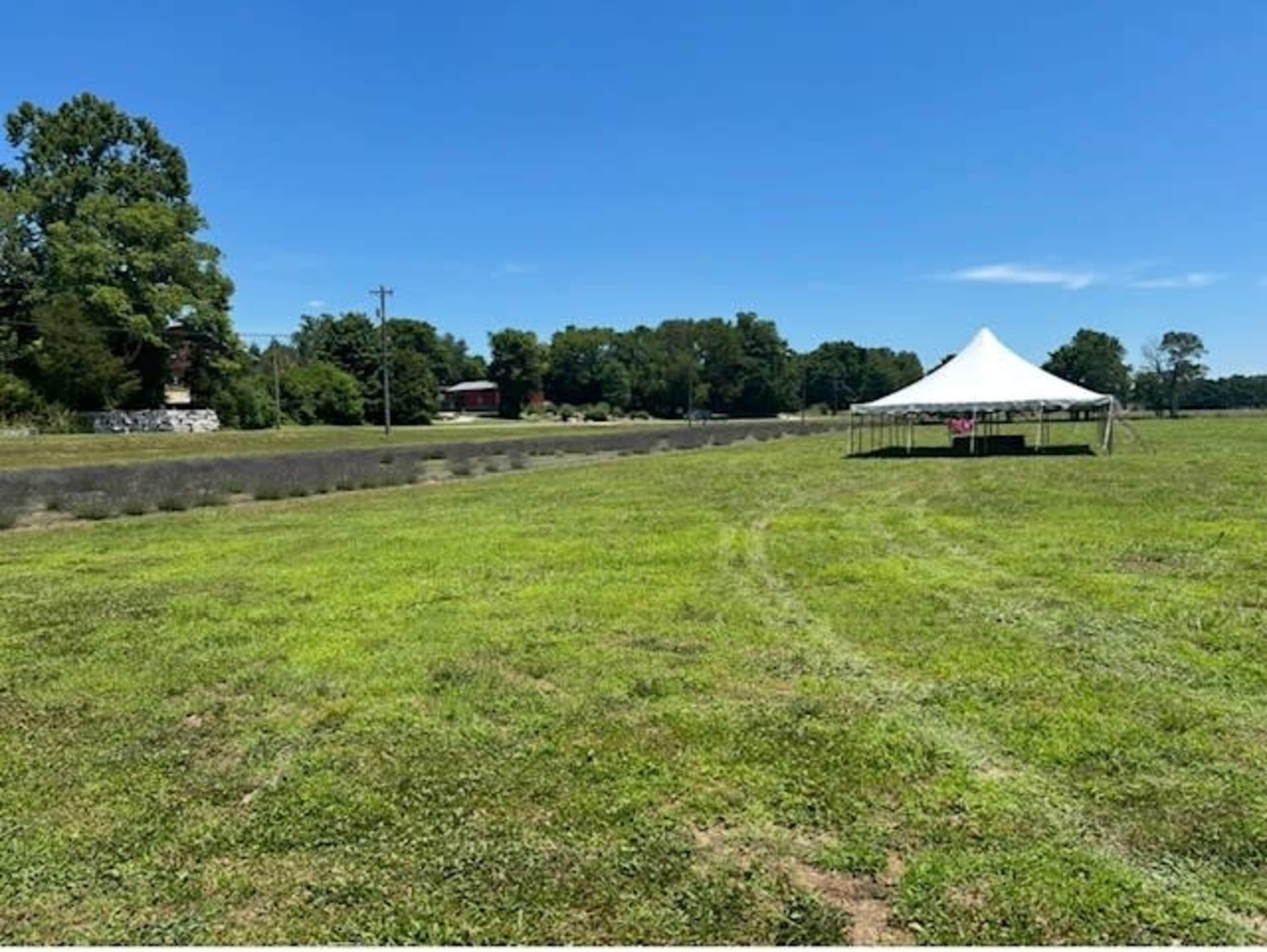 A large white tent is set up on a grassy field, with trees and a distant building visible in the background under a clear blue sky.