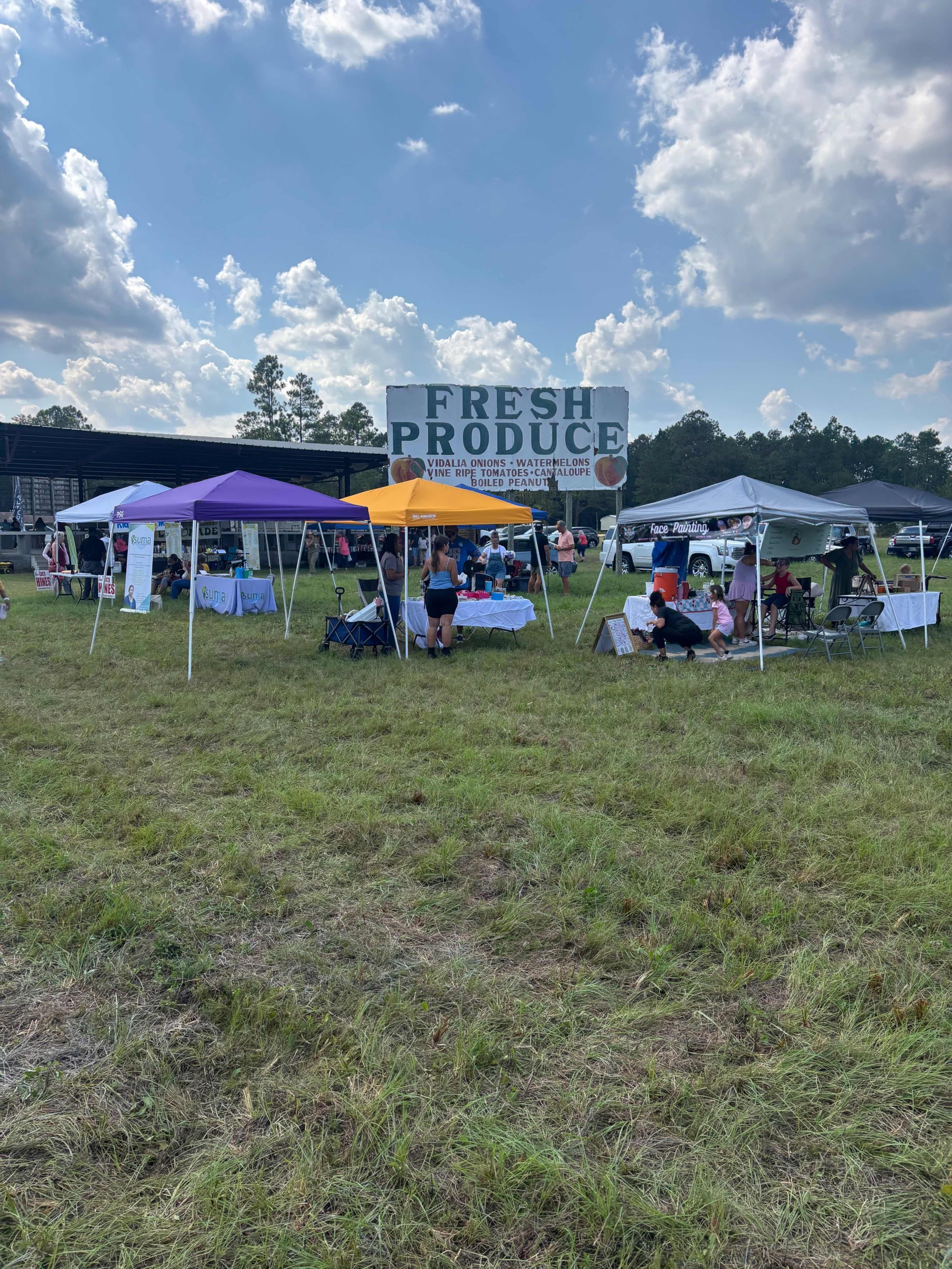A variety of canopies and tents are set up in a field, with several vendors showcasing fresh produce and other products.