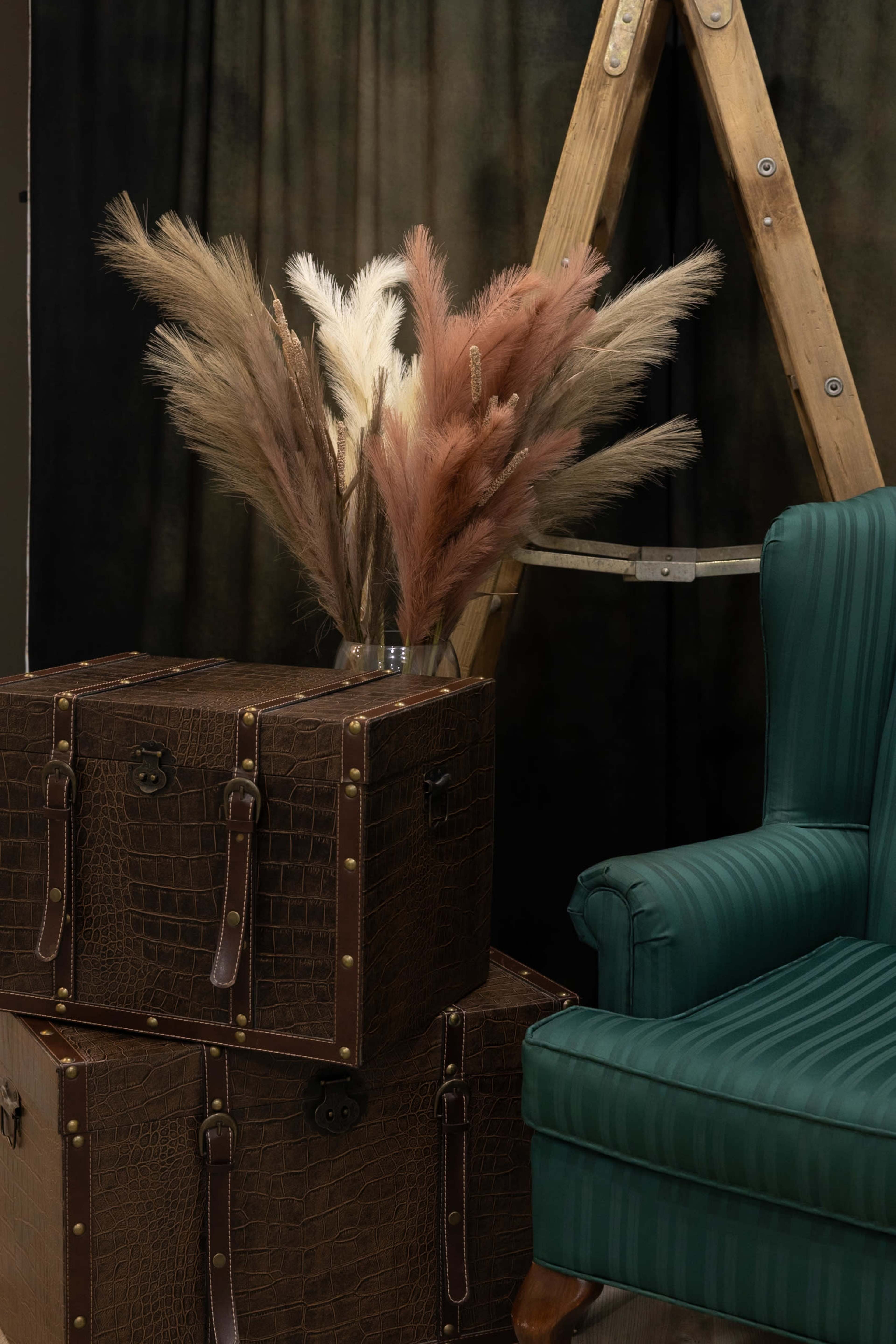 Photography Space in Brampton Image in Brampton, Brampton, ON