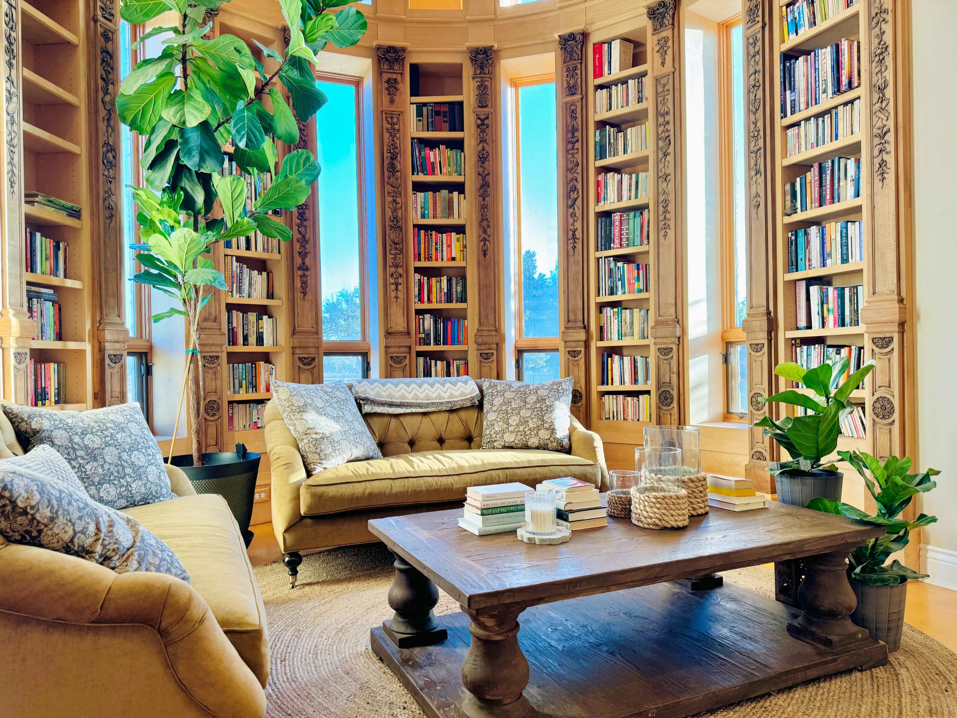 The room features two couches and a wooden coffee table surrounded by tall bookshelves filled with books and a large indoor plant.