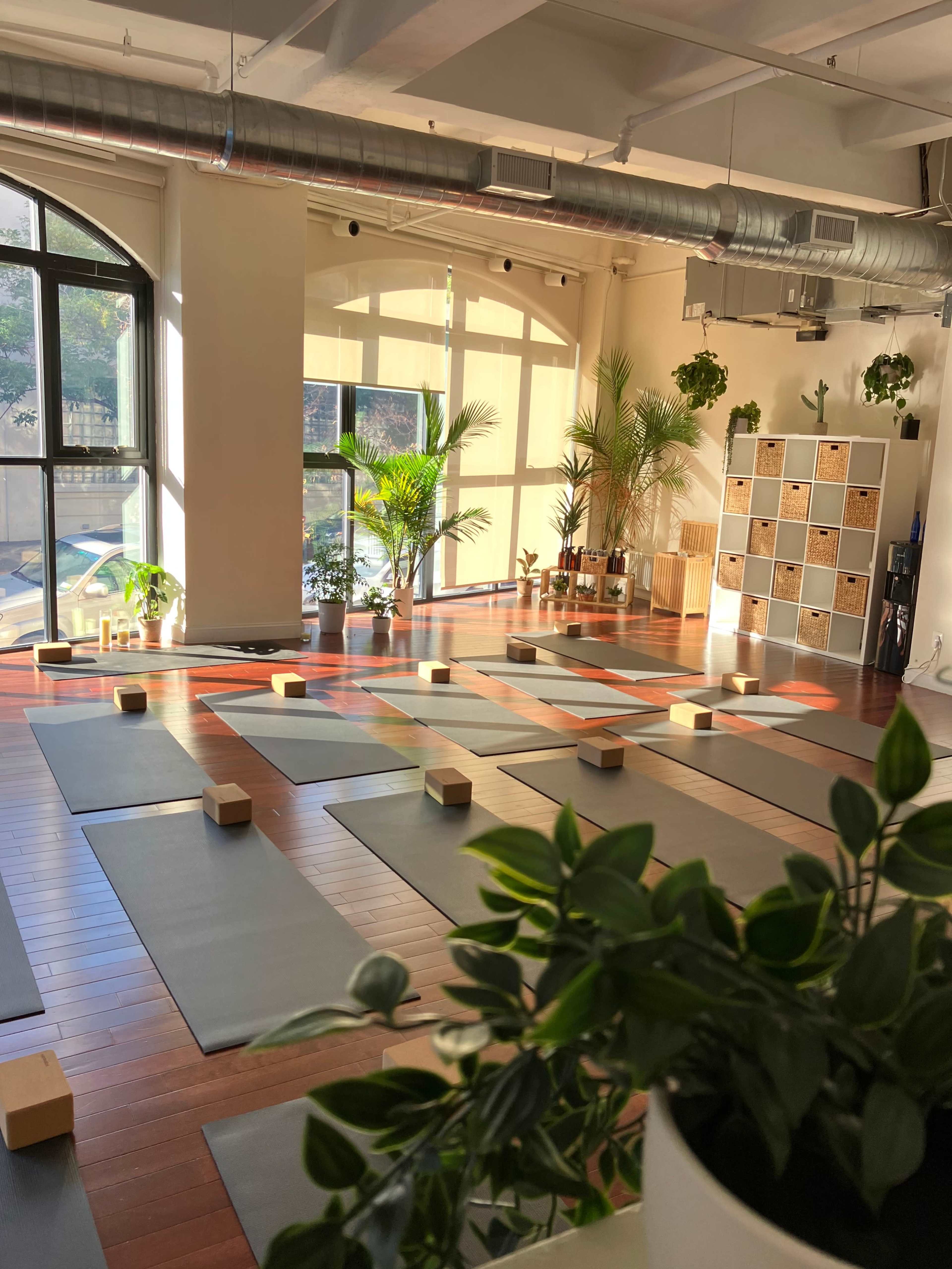 A yoga studio with several mats arranged on a wooden floor, lit by sunlight streaming through large windows.