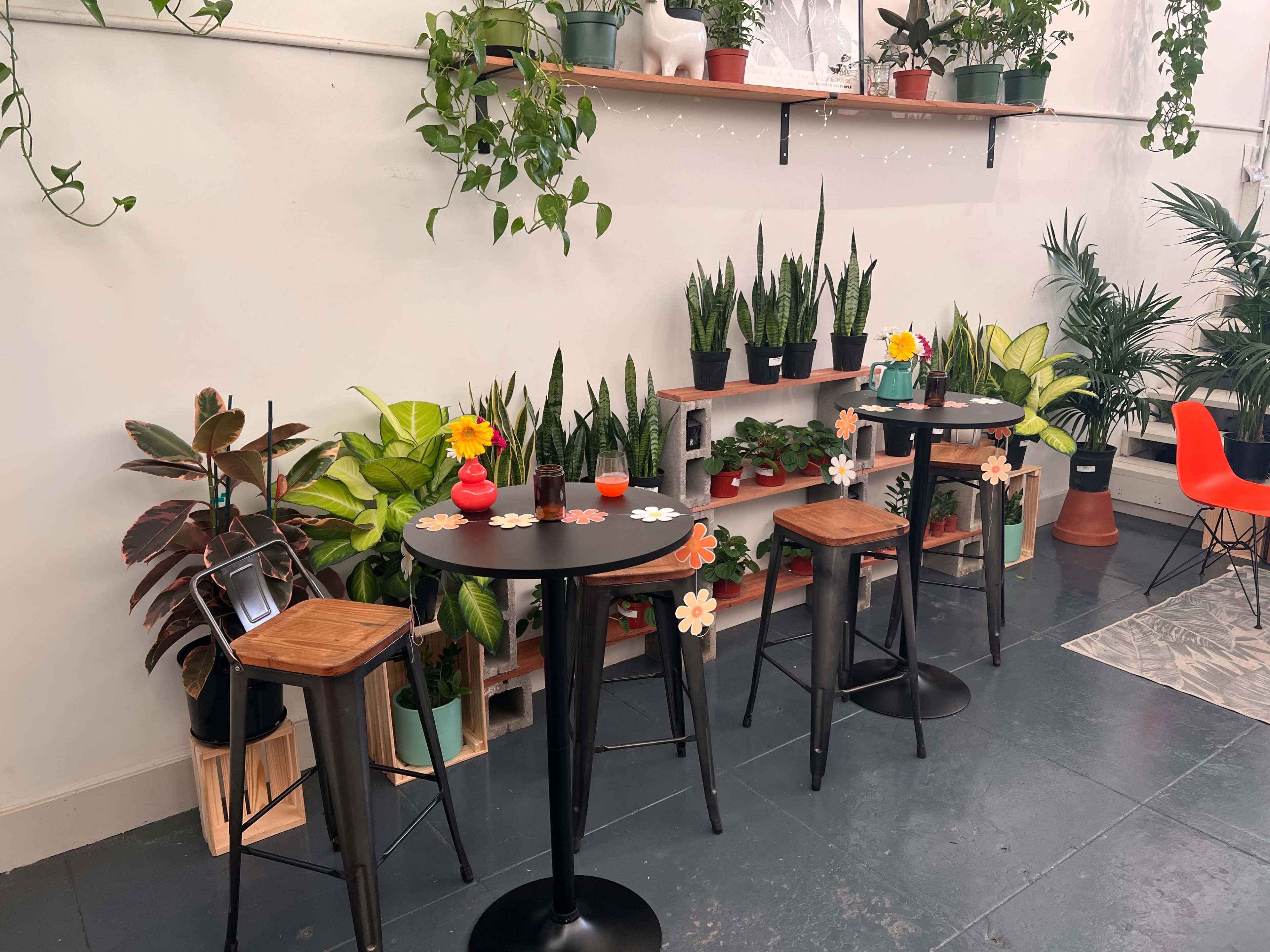 A small indoor space with tall black tables surrounded by various potted plants and decor.