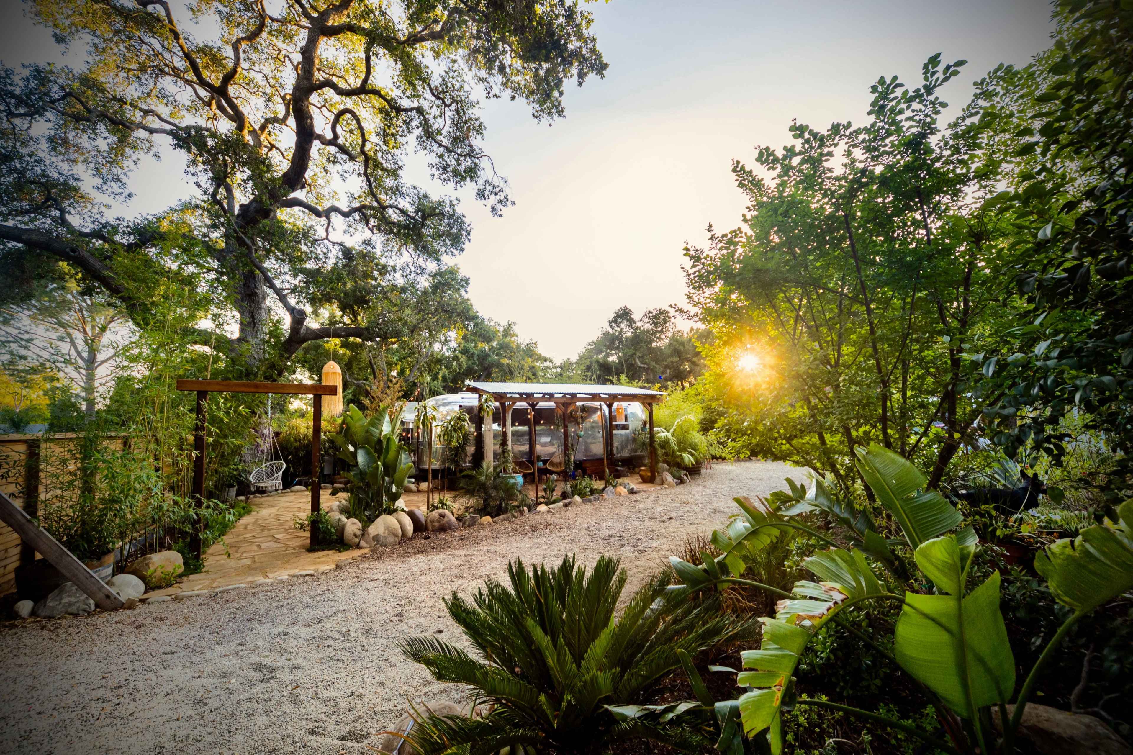 A modern, glass-roofed structure is set among lush greenery and large trees, with a gravel path leading to it.