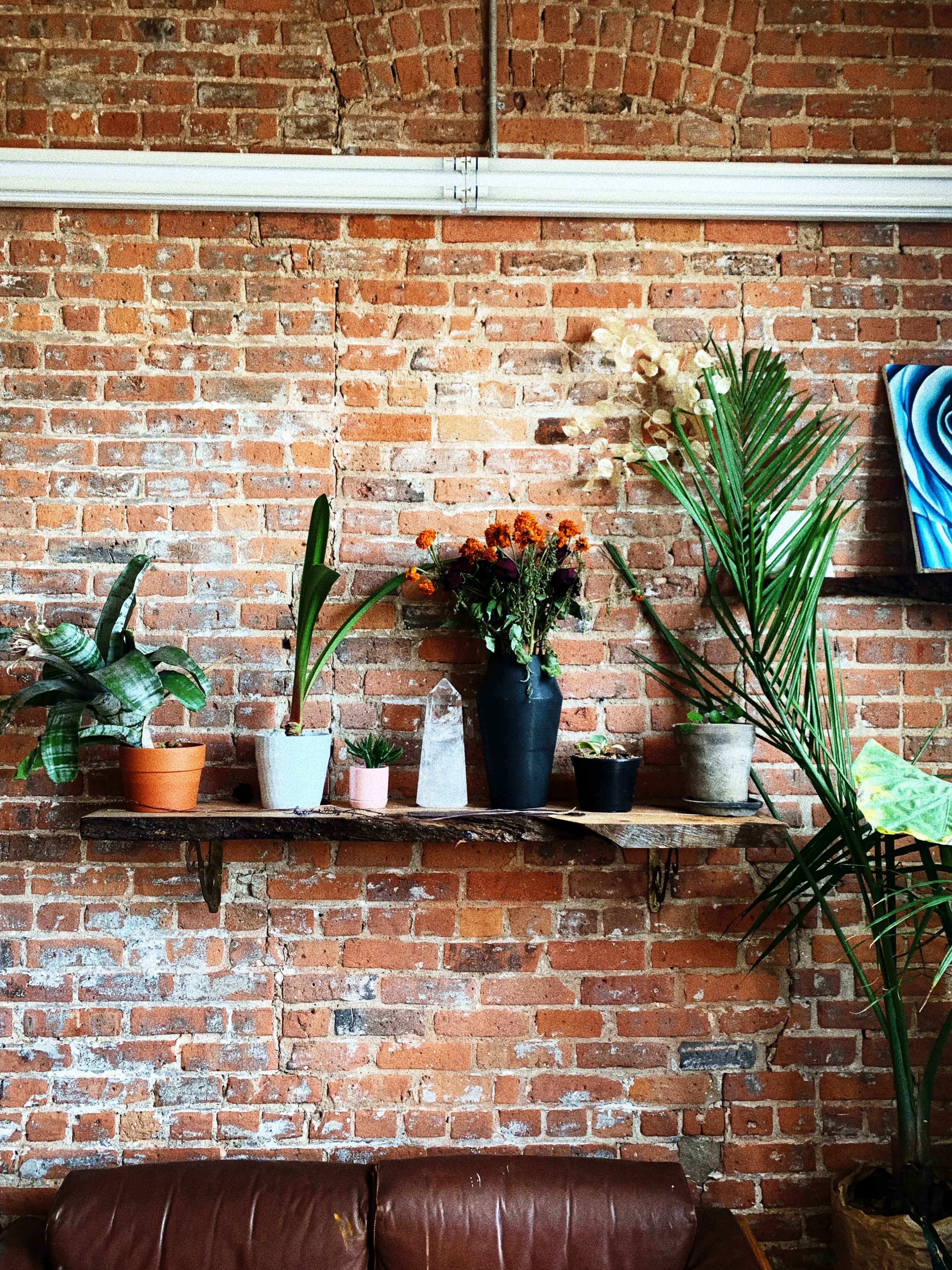 A wooden shelf holds various potted plants and a bouquet of flowers against a brick wall.
