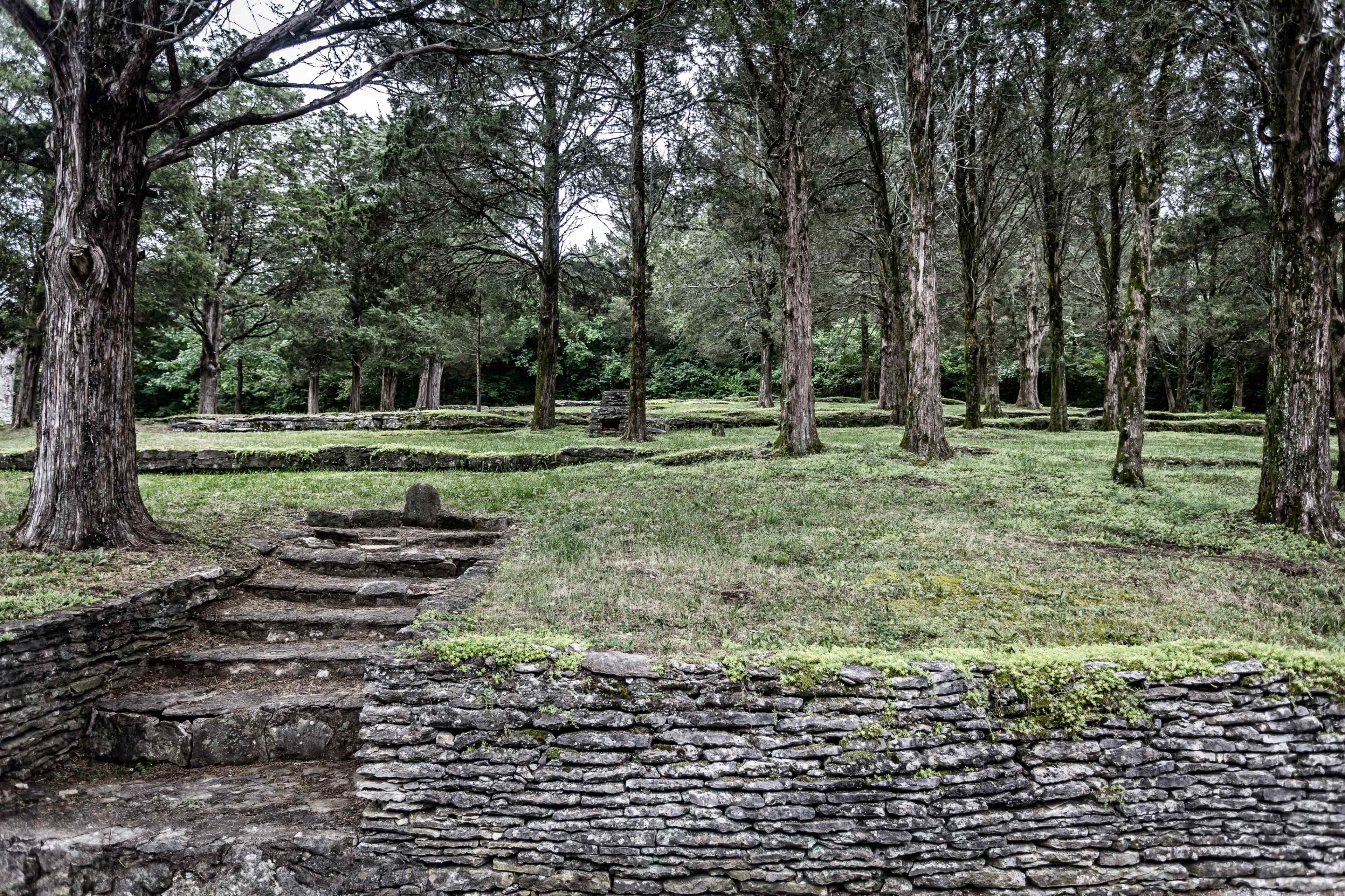 A stone pathway leads through a grassy area surrounded by trees and raised stone platforms.