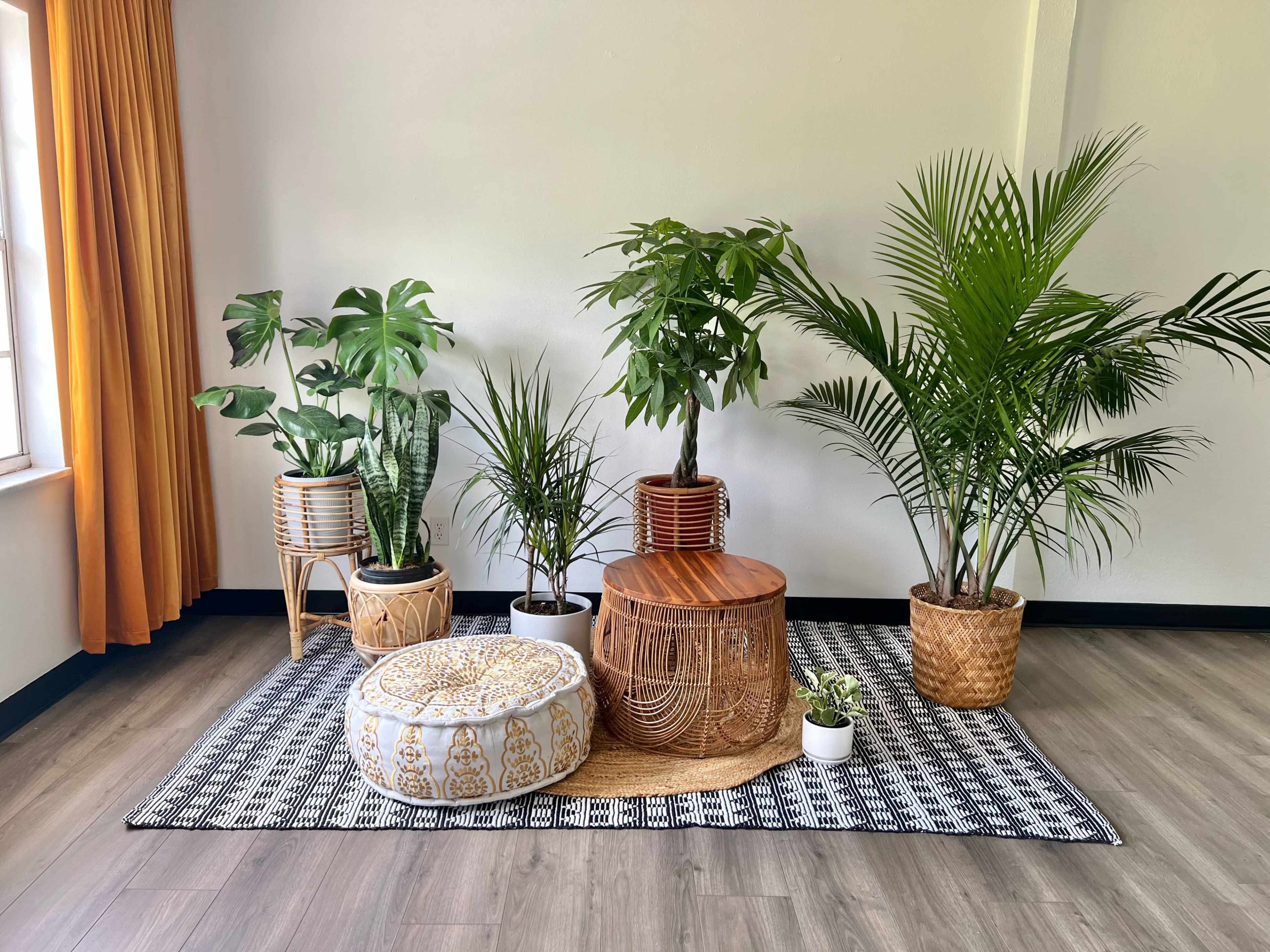 A cozy indoor space features various potted plants, a round wooden table, a patterned pouf, and a woven area rug.