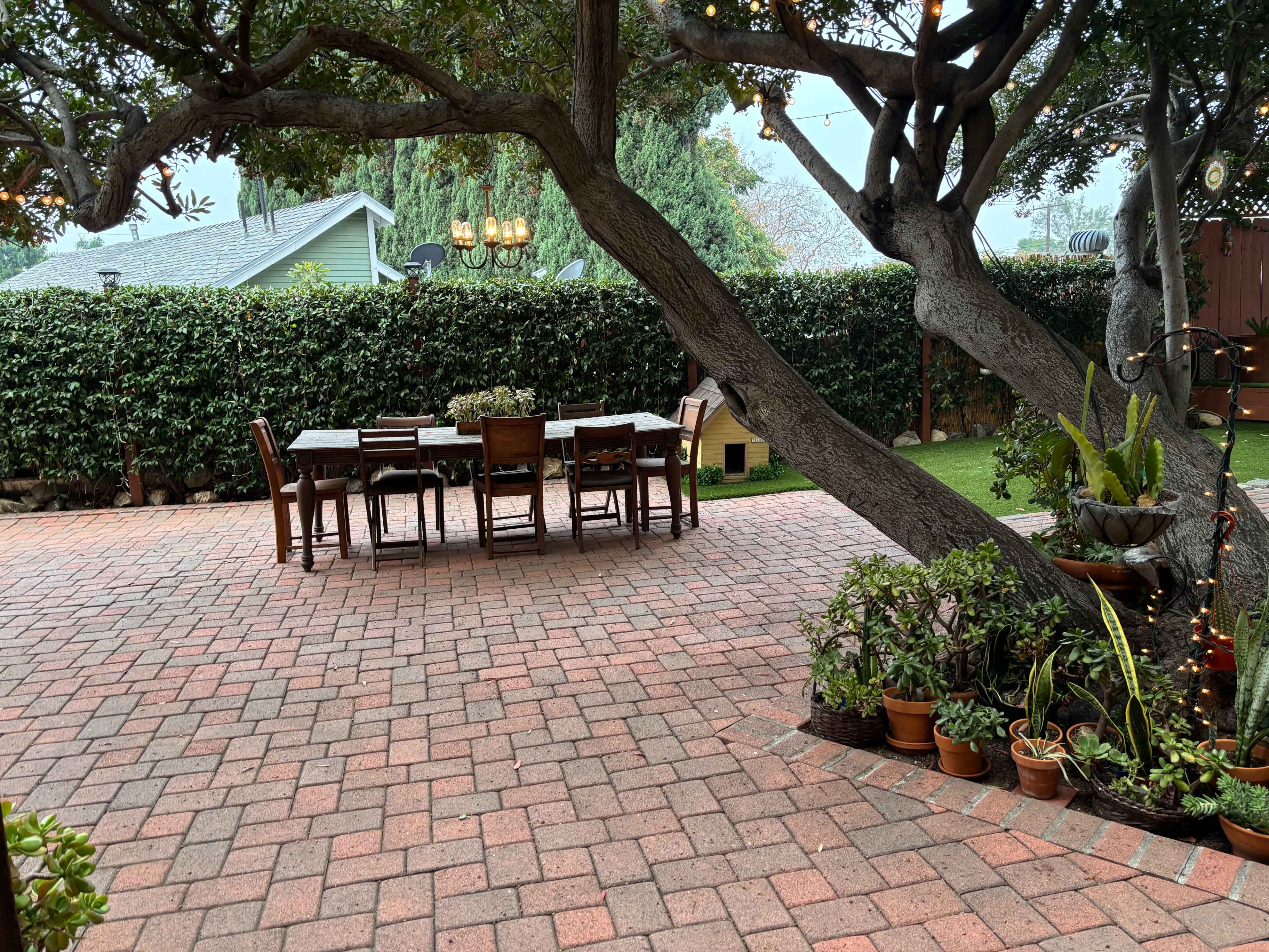A patio area features a wooden dining table and chairs surrounded by potted plants, with a large tree providing shade.