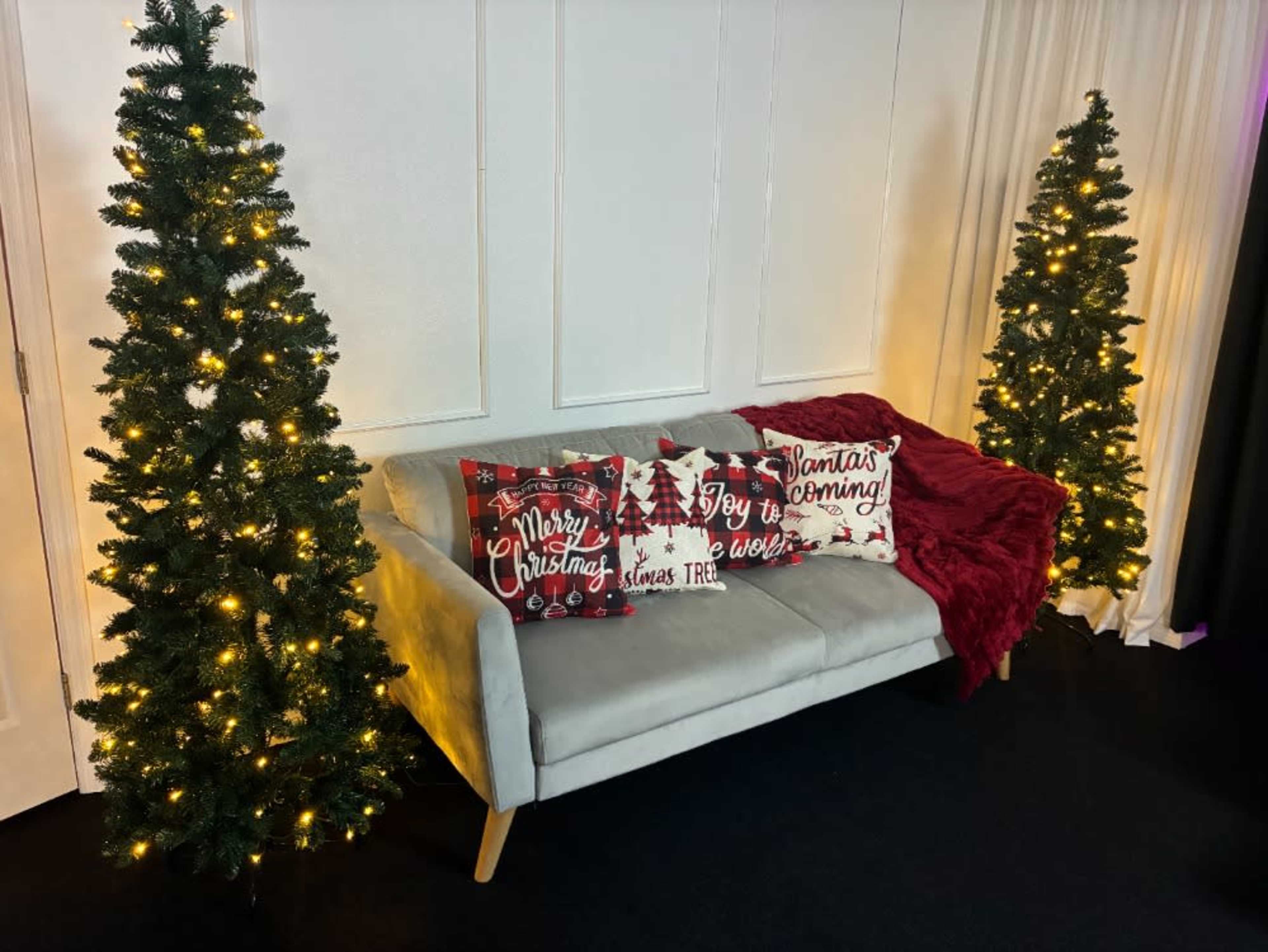 Holiday Mini Session Setup Add-On — $25