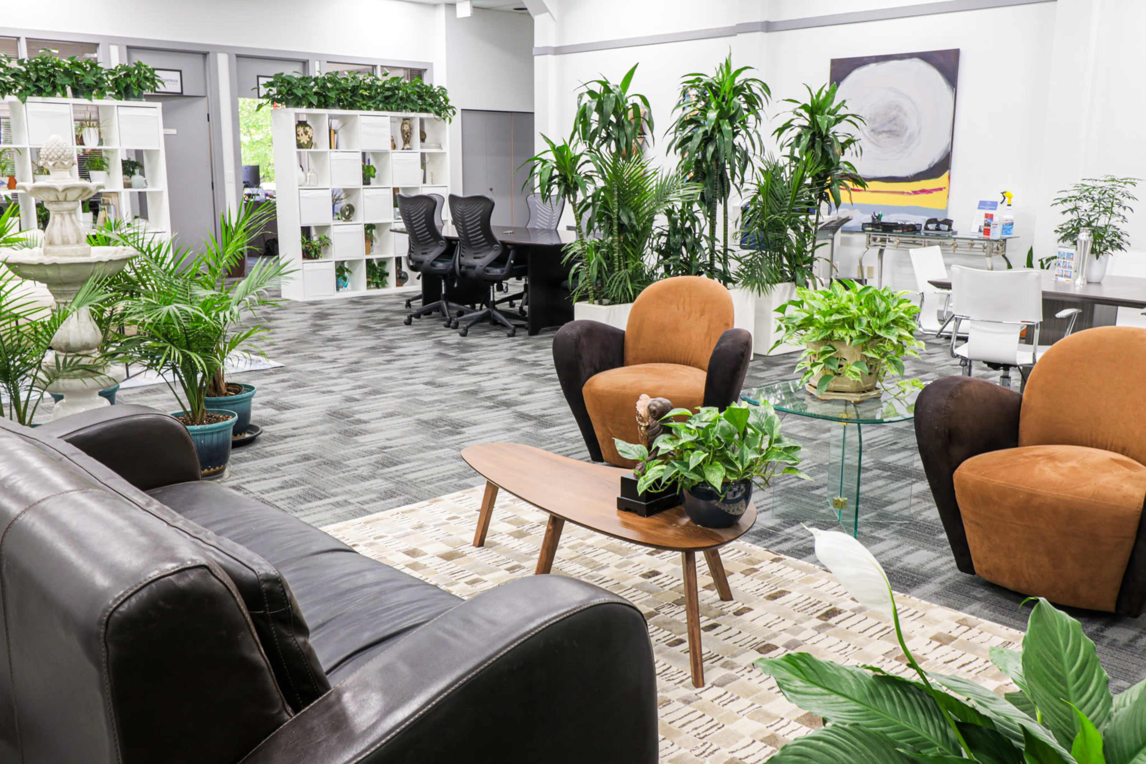 A modern office space featuring indoor plants, a seating area with brown chairs, a wooden table, and workstations in the background.