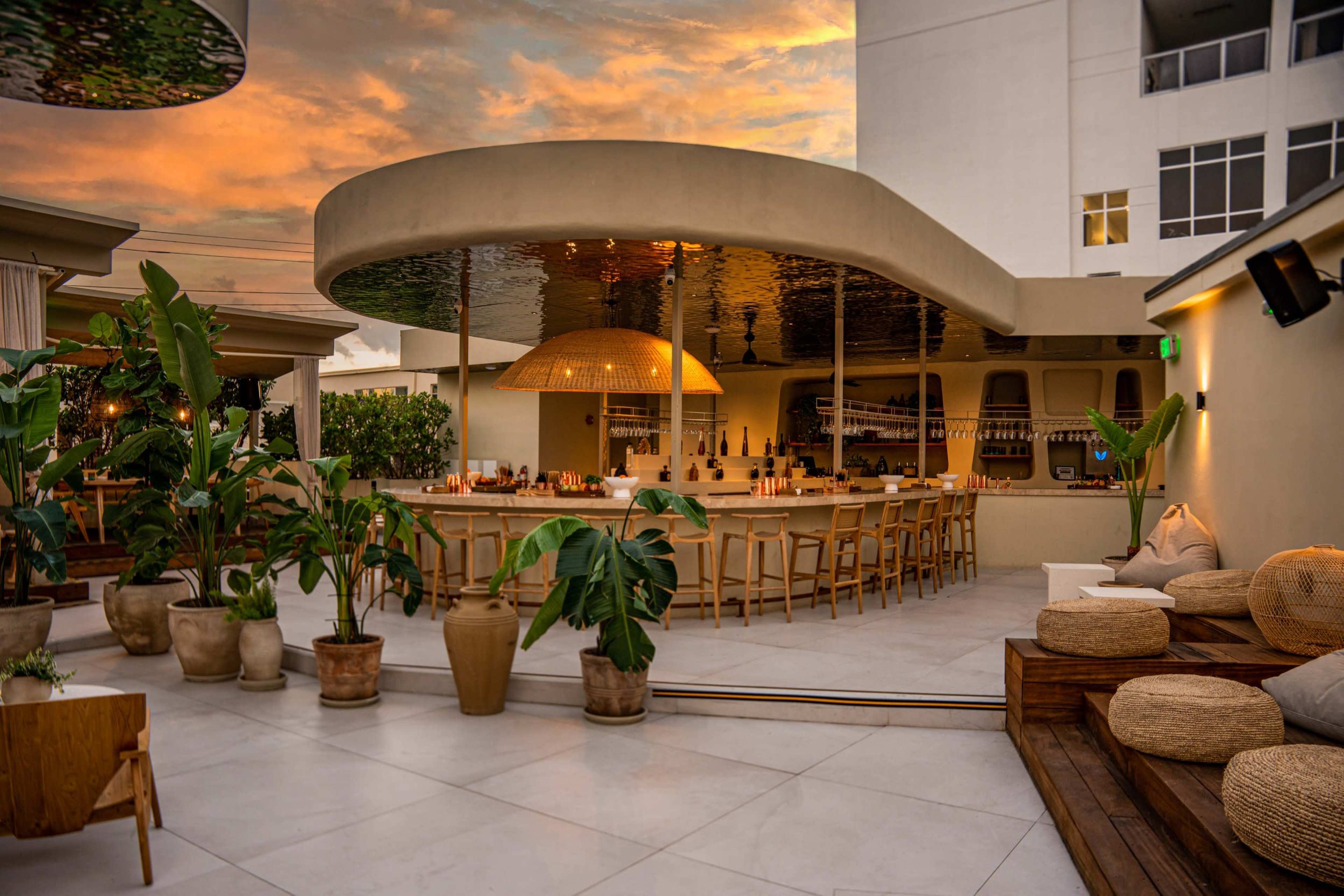 Host Unforgettable Events at Fabel Miami – Wynwood’s Premier Rooftop Dining & Nightlife Oasis Image in Wynwood, Miami, FL