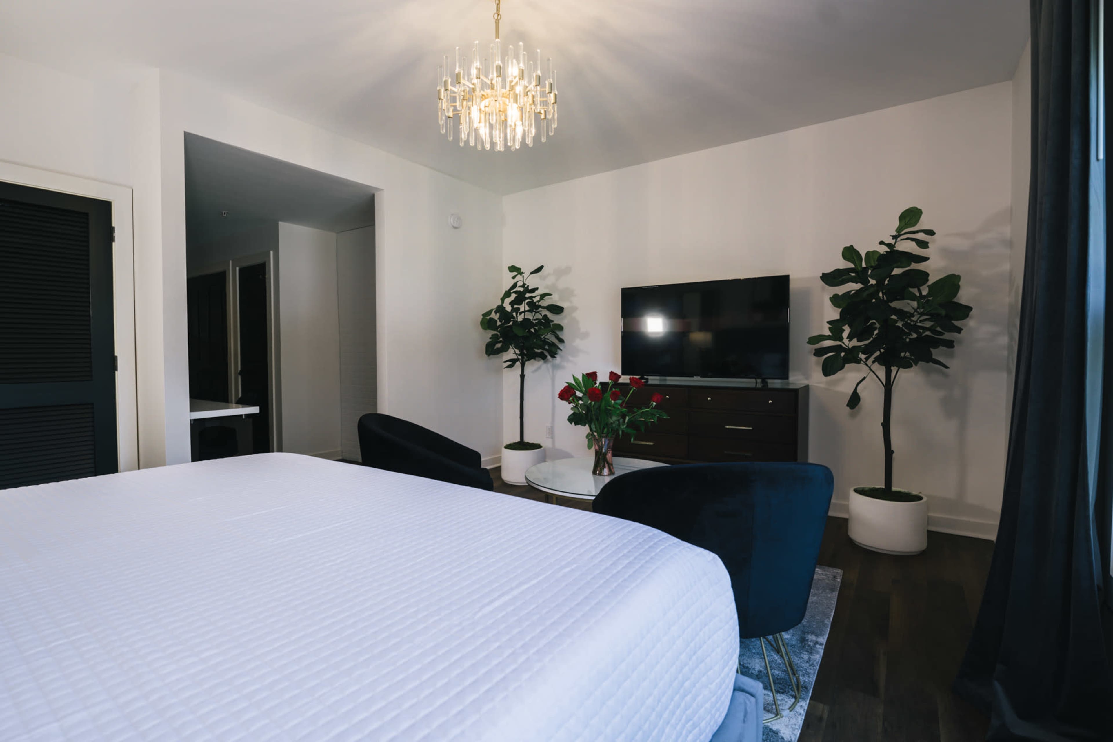 A modern bedroom features a bed, a television mounted on the wall, two indoor plants, a chandelier, and a seating area with two black chairs and a small table.