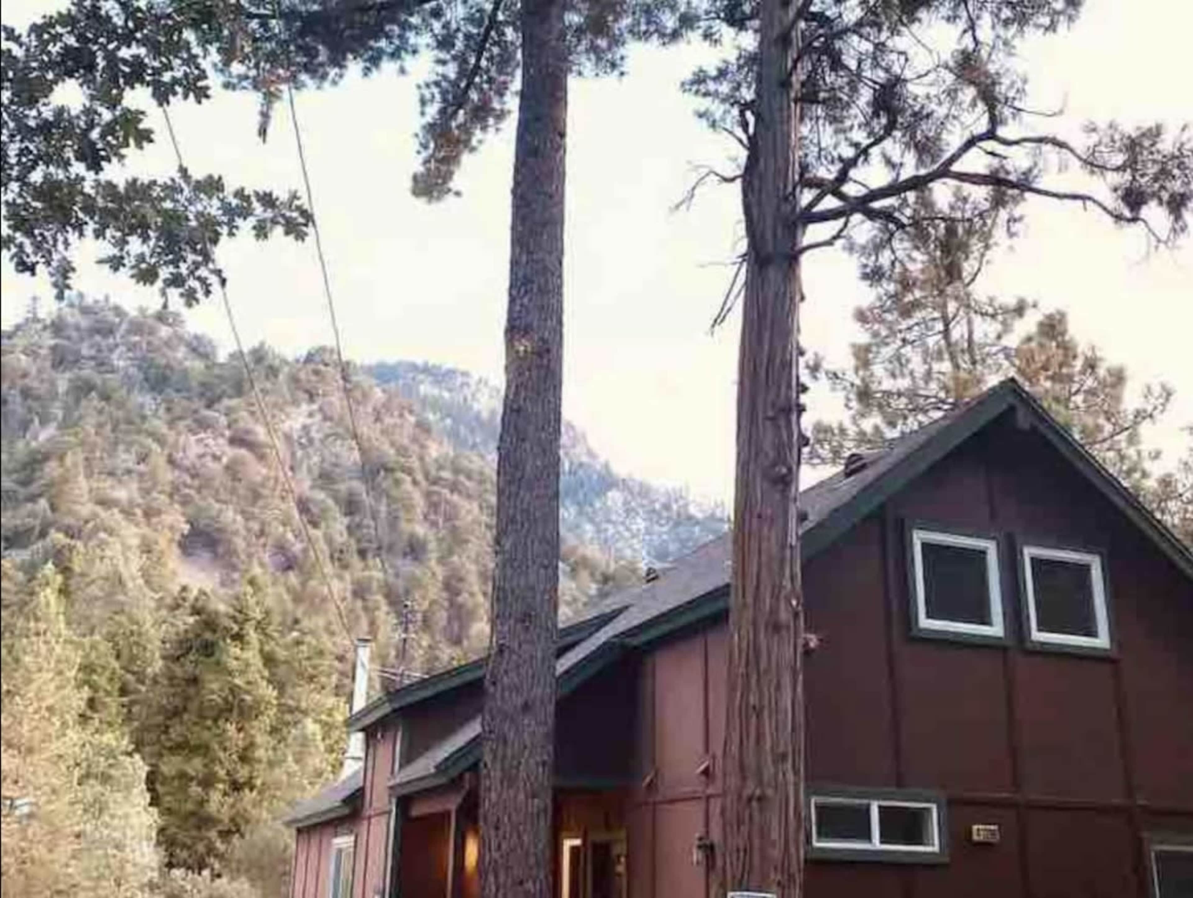 A brown house with large windows is situated at the base of a mountainous landscape, surrounded by tall trees.