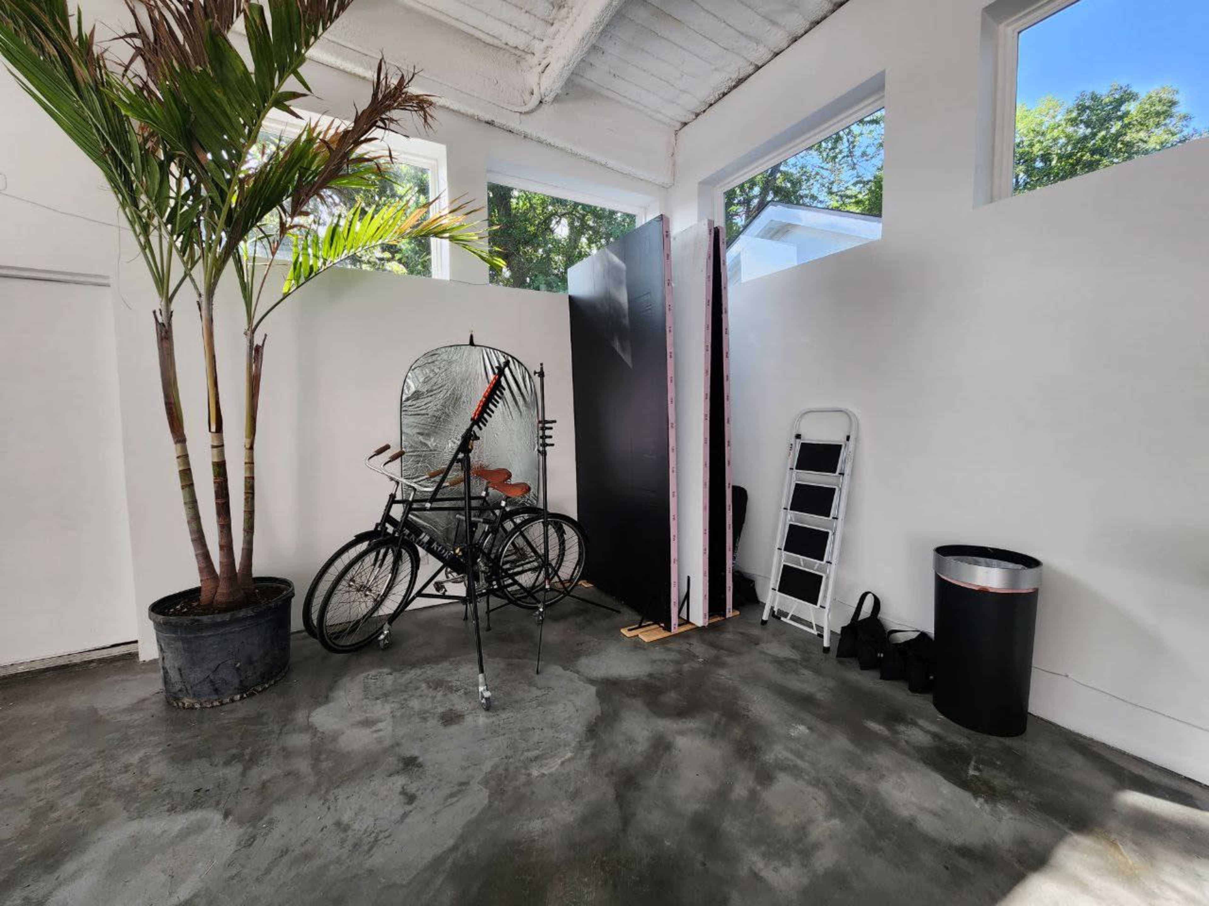 The image shows a room with a potted palm tree, a bicycle, a folding ladder, and a trash bin, with large windows allowing natural light to enter.