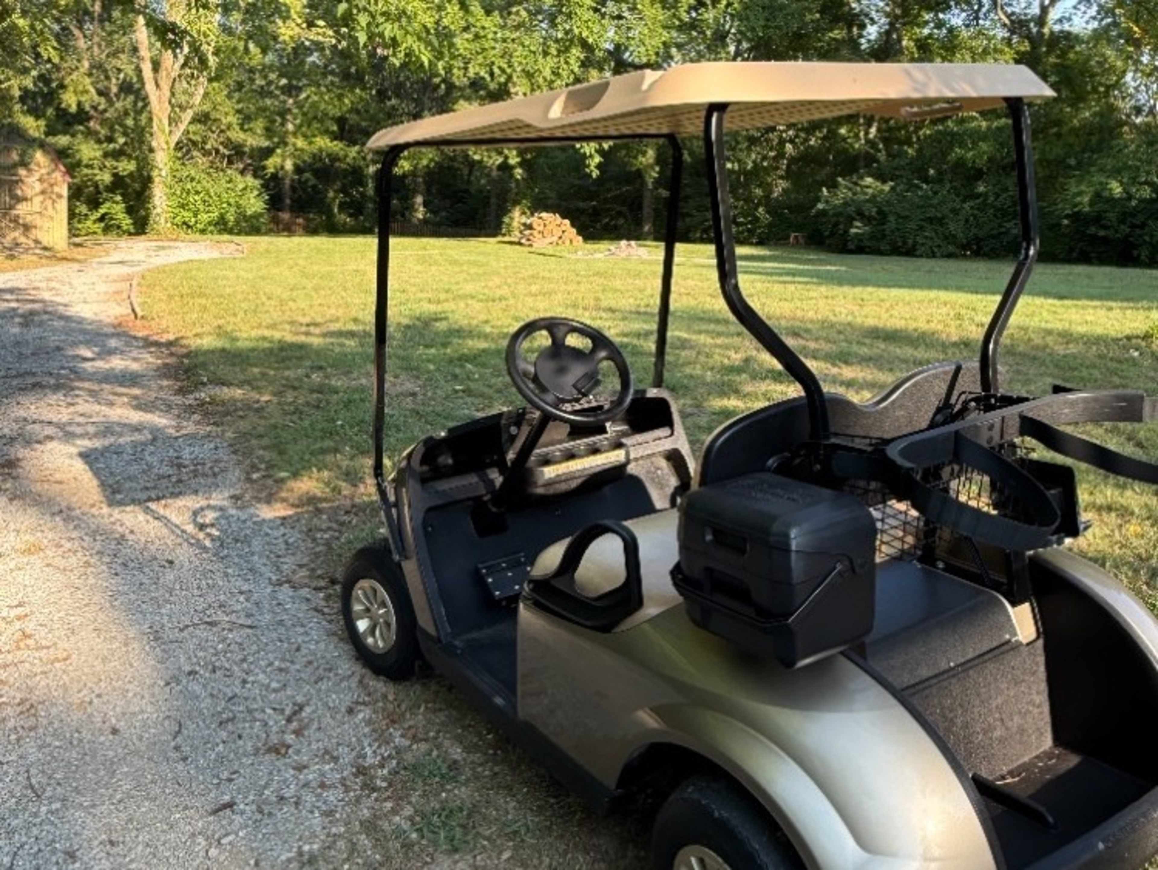 Golf Cart - Electric