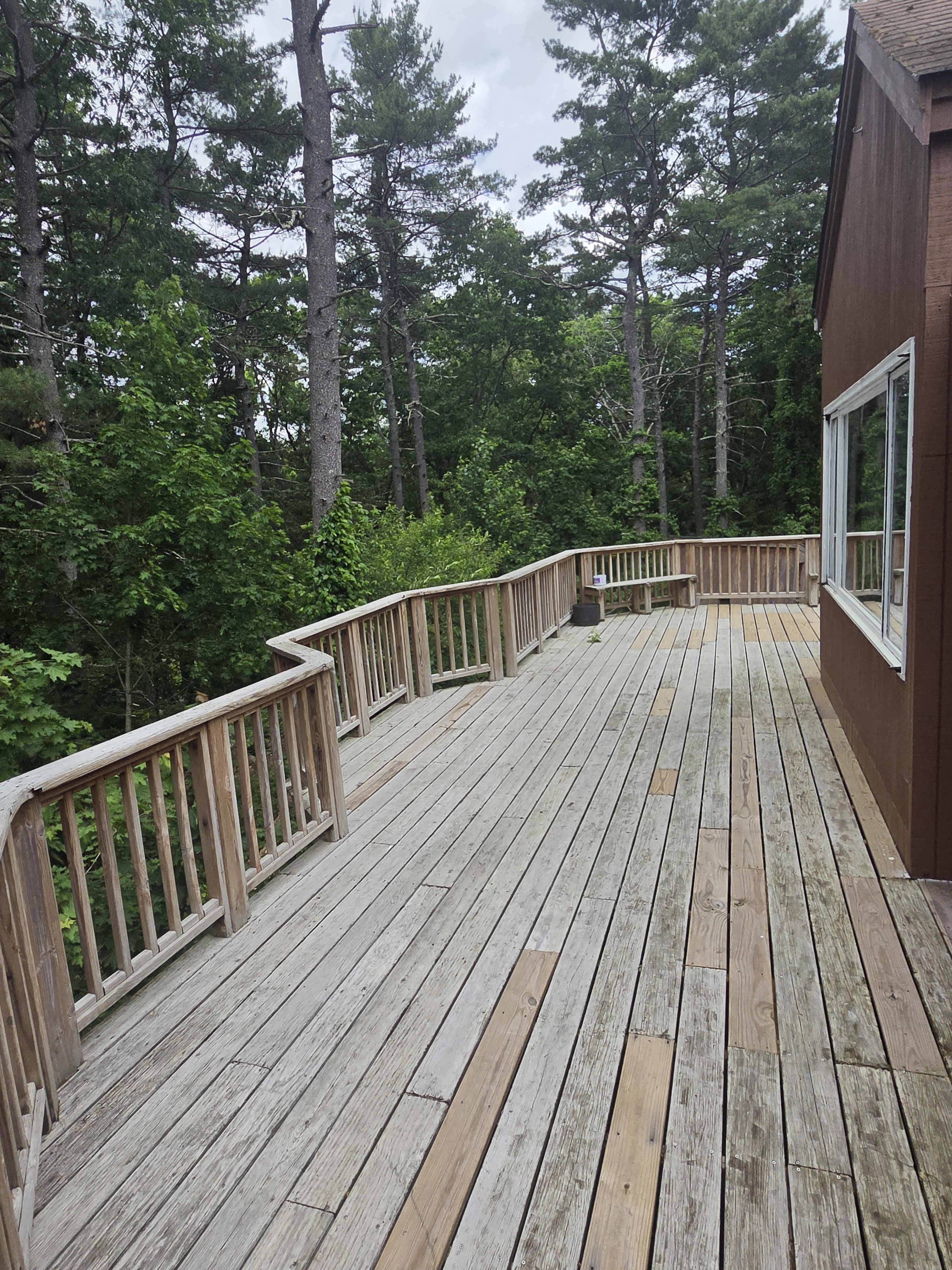A wooden deck with a railing overlooks a lush green wooded area, bordered by tall trees.