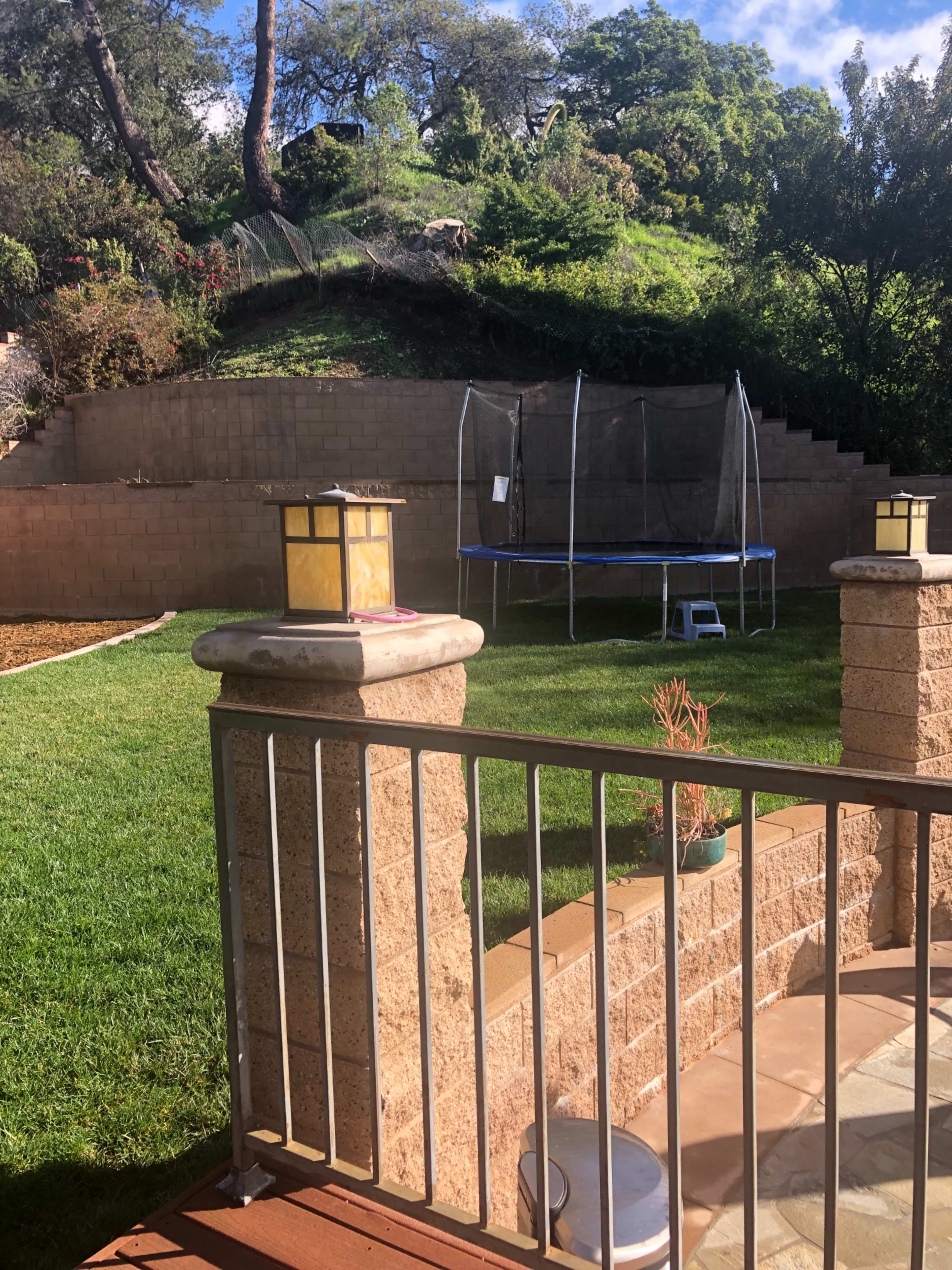 A backyard features a grassy area with a trampoline enclosed by a net on a hillside, surrounded by shrubs and trees.