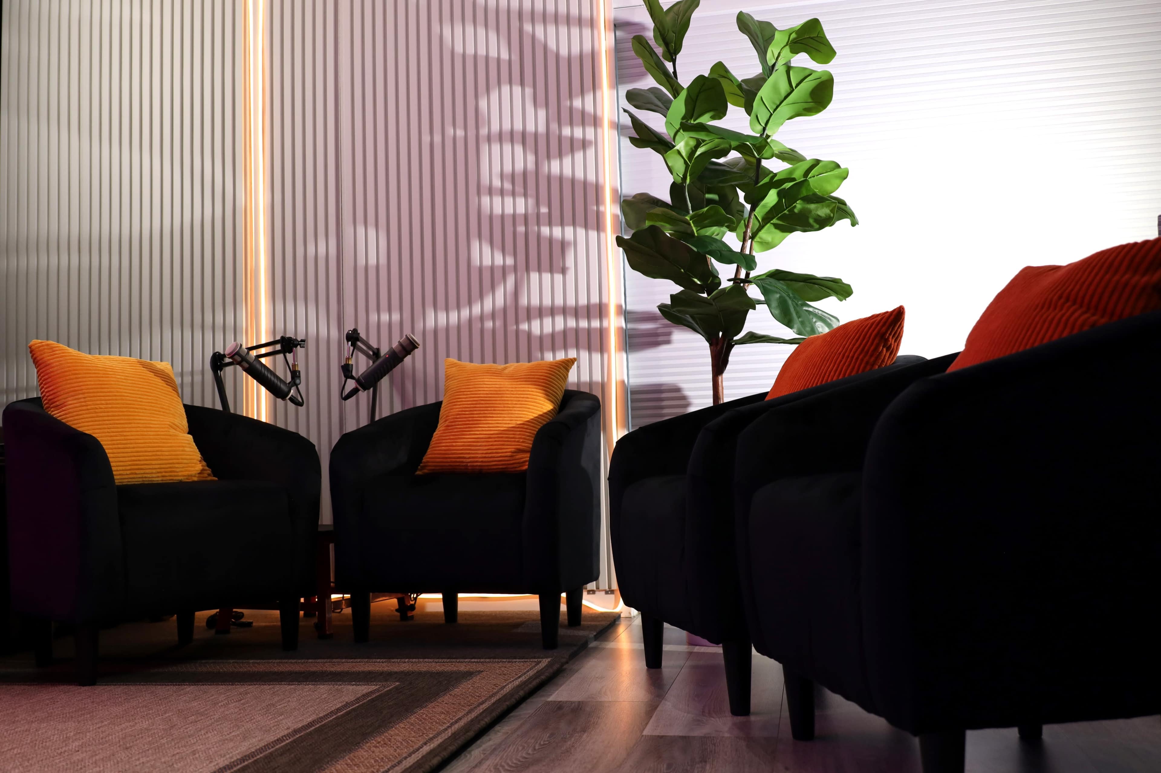 Innovative Multi-Use Video & Creative Home Studio Space Image in Middle River Terrace, Fort Lauderdale, FL