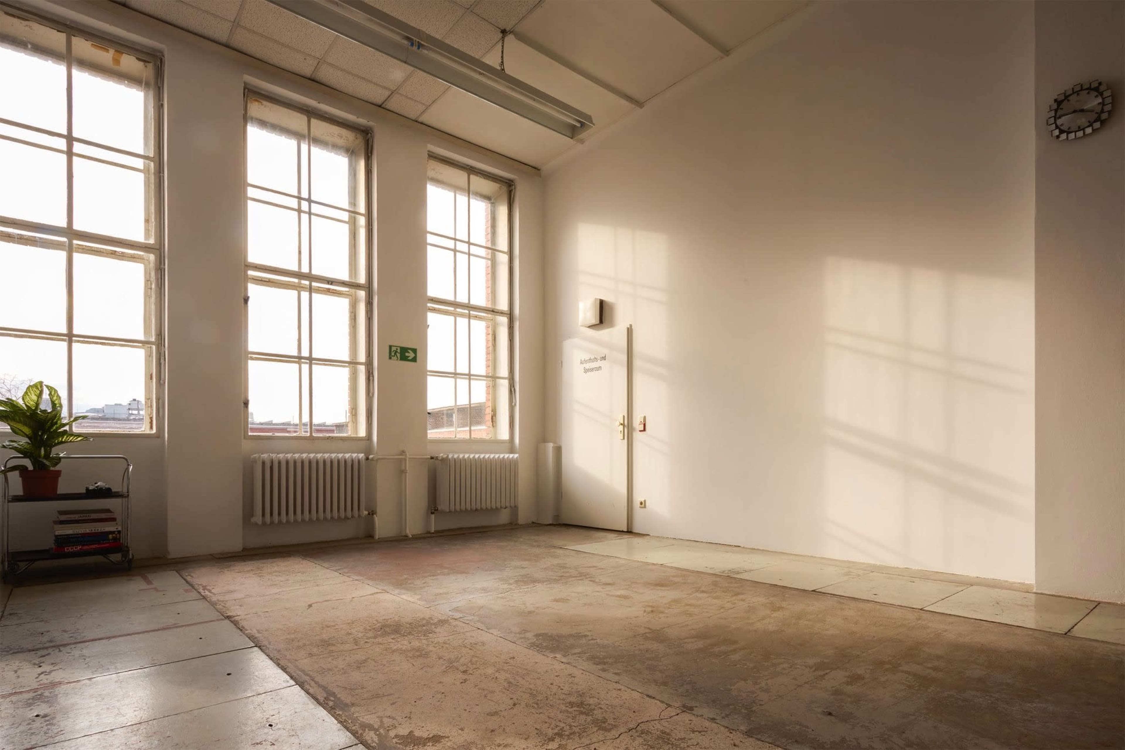 The image shows an empty, well-lit room with large windows, a potted plant in the corner, and a door along one wall.