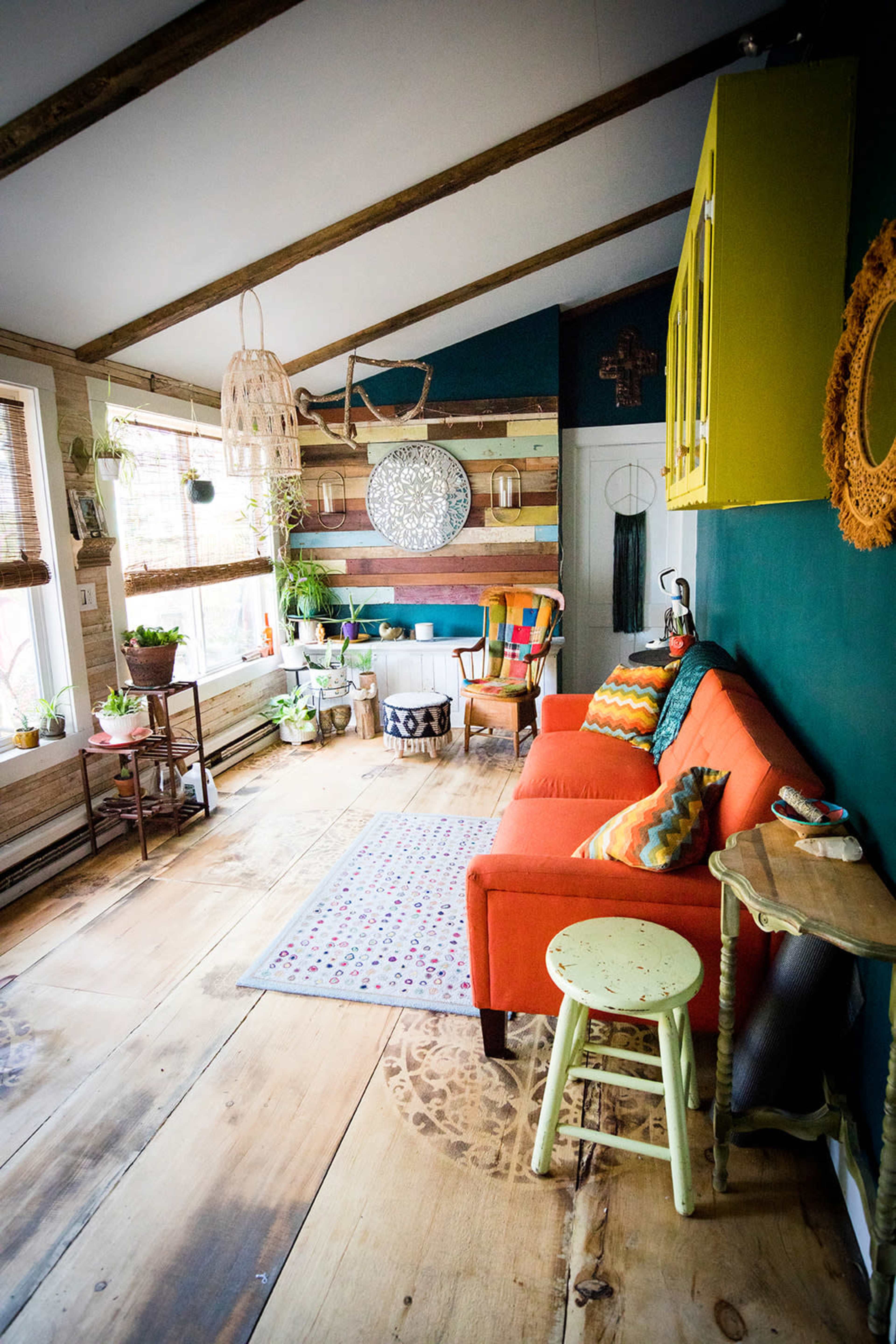The image shows a cozy room with a colorful orange couch, wooden flooring, and a mix of plants and decor against a green accent wall.