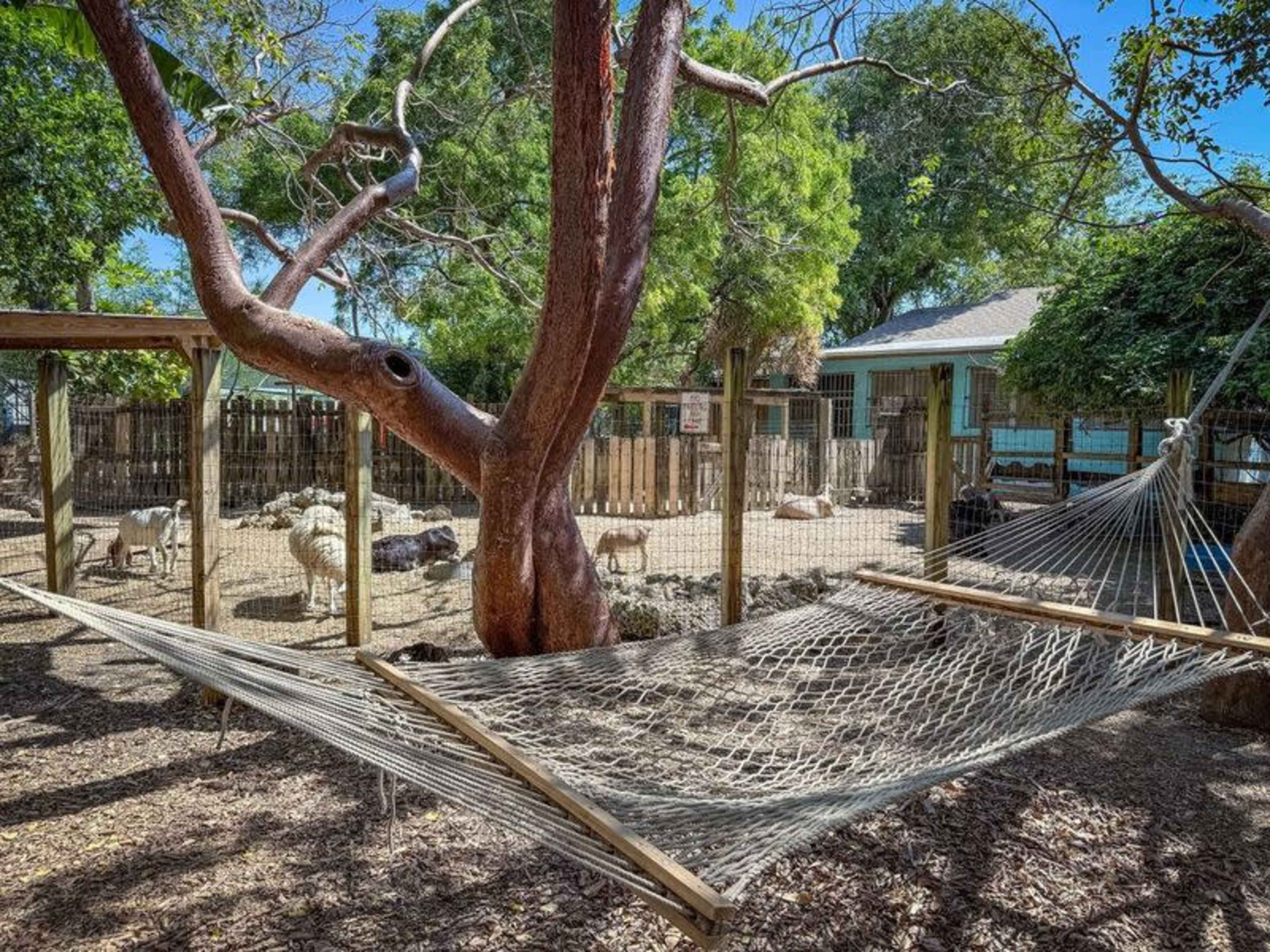 Nature-Filled Farm and Animal Sanctuary Shoot/ Event Location Image in Little River, Miami, FL