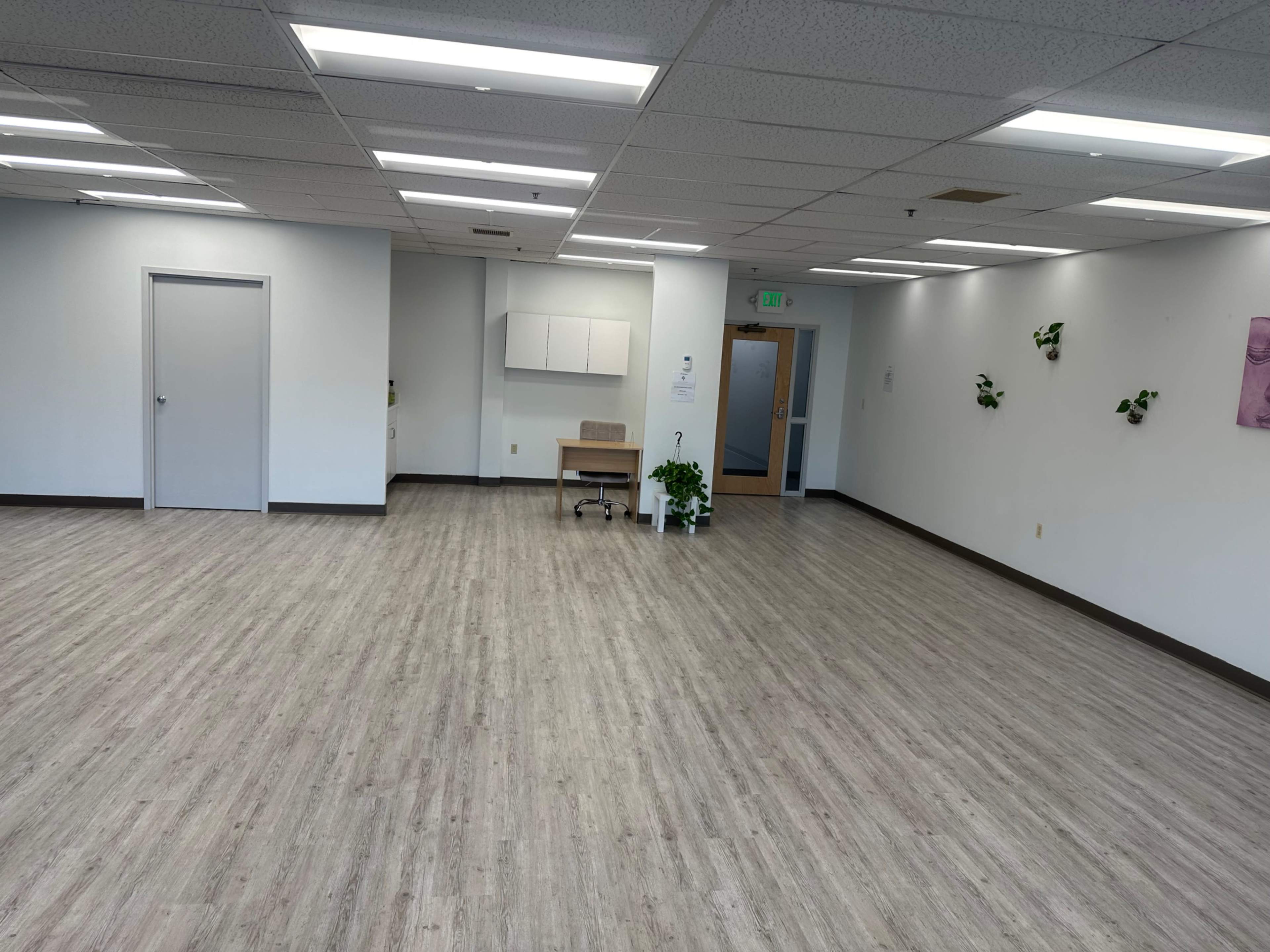 A spacious, empty room with wooden flooring, a desk and chair against one wall, and some wall-mounted plants.