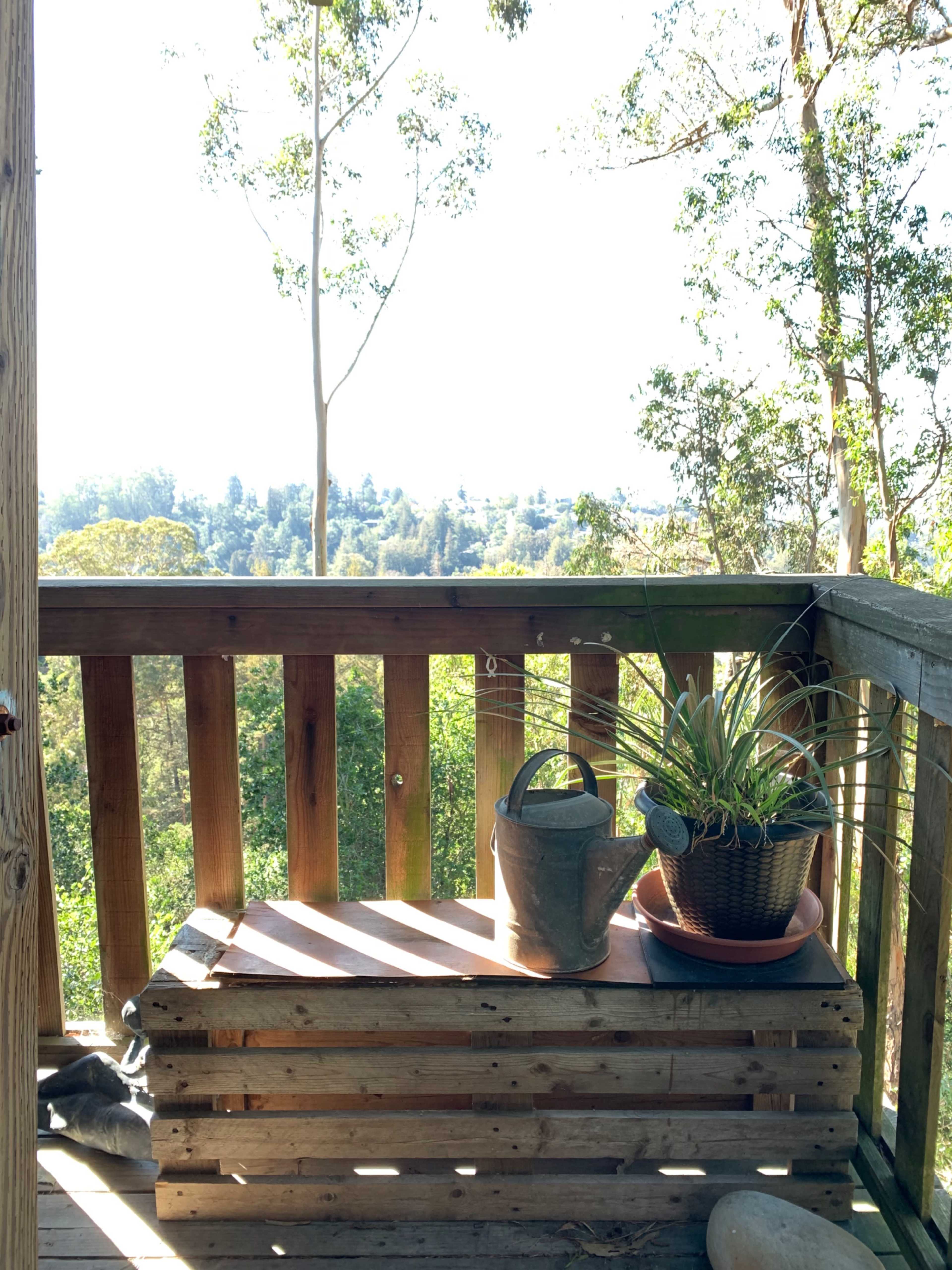 A wooden balcony features a potted plant and a metal watering can, overlooking a lush landscape.