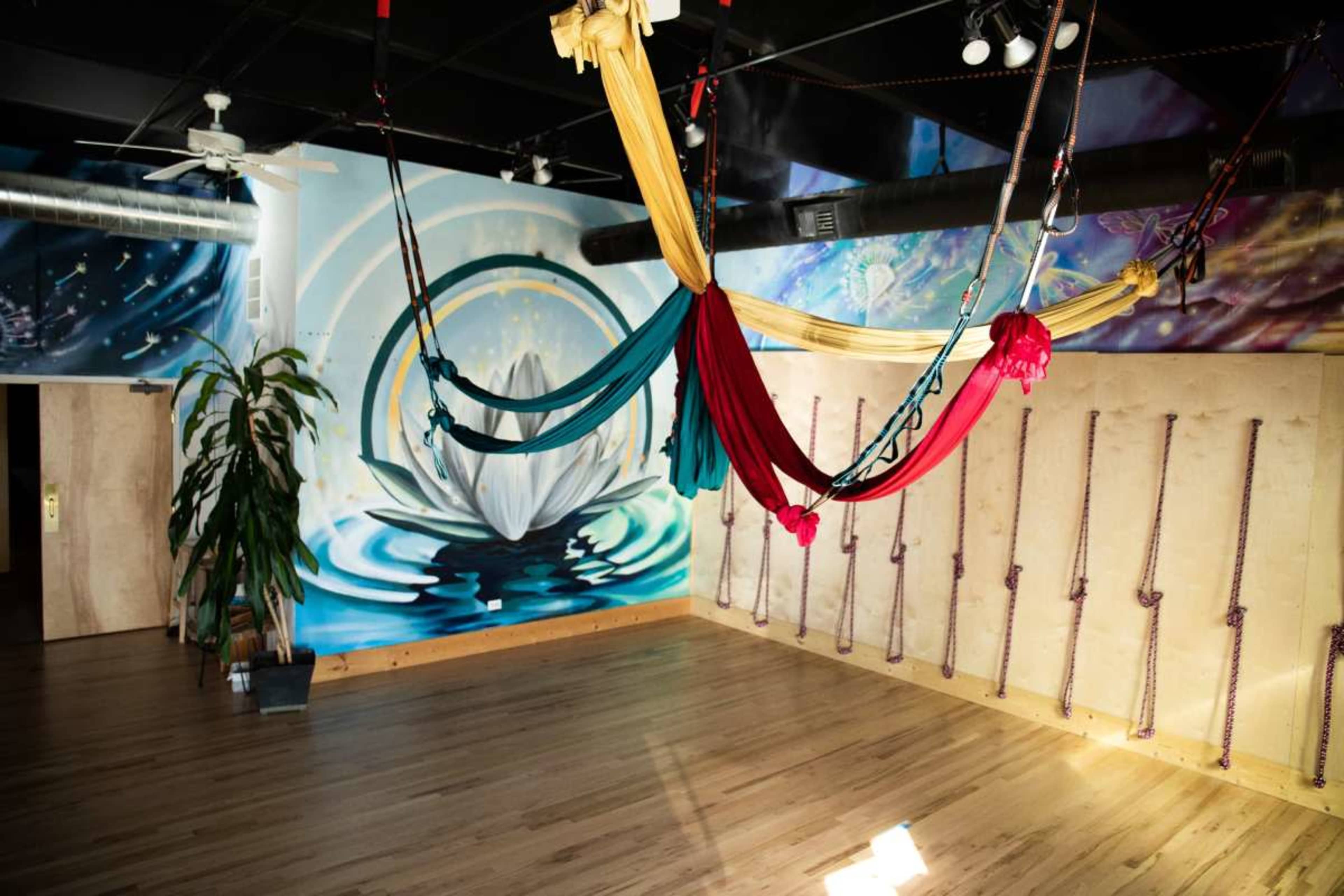 Yoga, Spa & Event Haven in a Peaceful Urban Setting (Lotus Room) Image in Washington Park West, Denver, CO