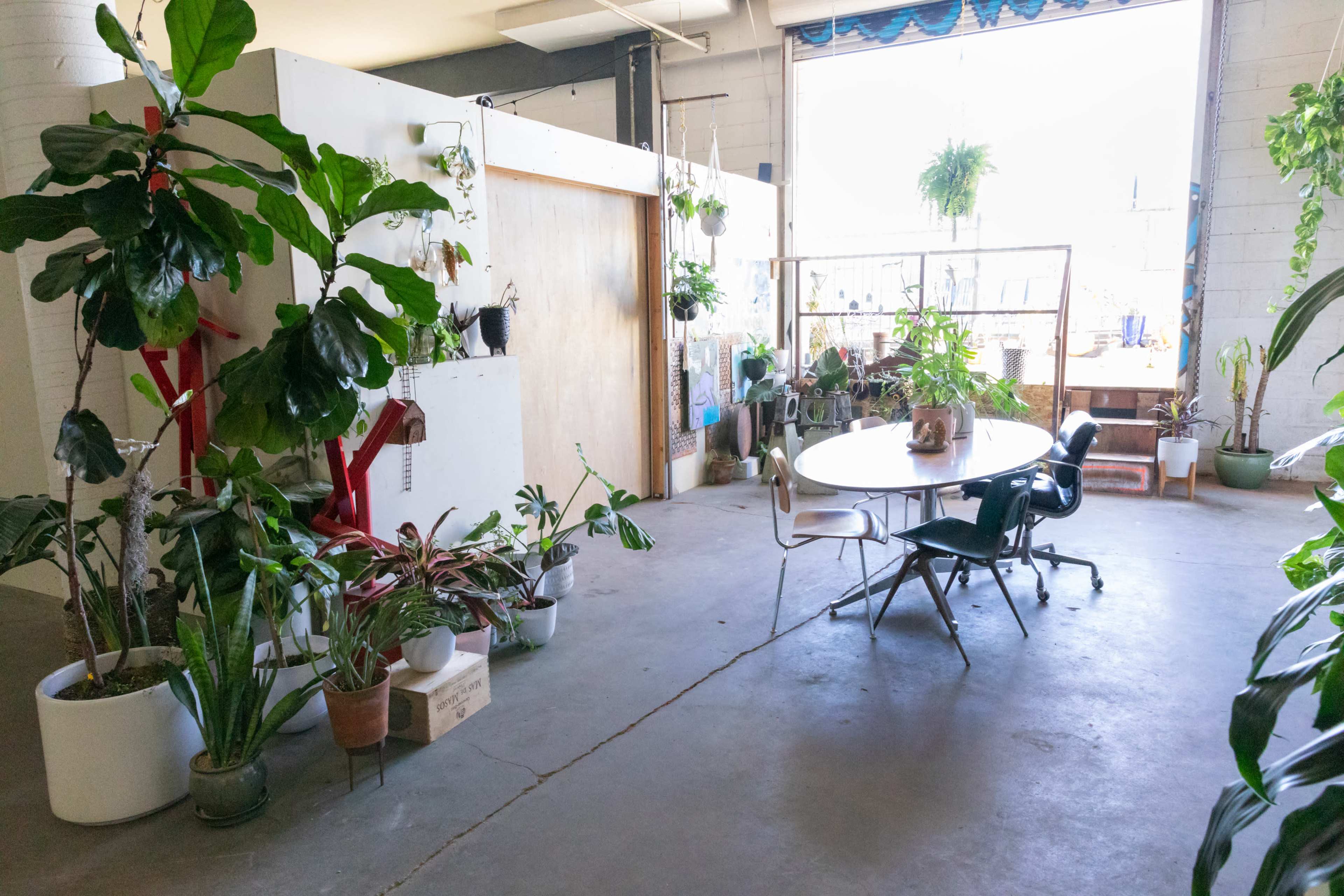 A spacious room with a round table and chairs surrounded by various potted plants near large windows.