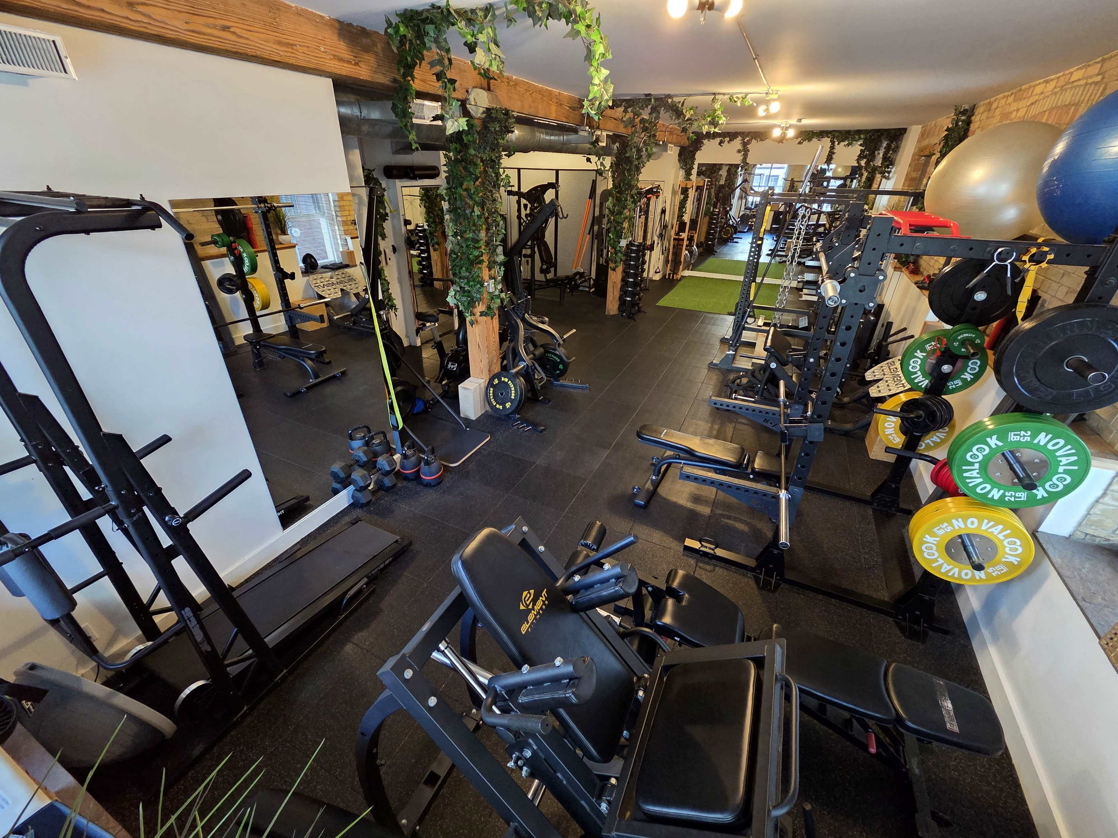 The image shows an organized gym space equipped with various weightlifting machines, benches, and exercise equipment against a backdrop of greenery and natural lighting.