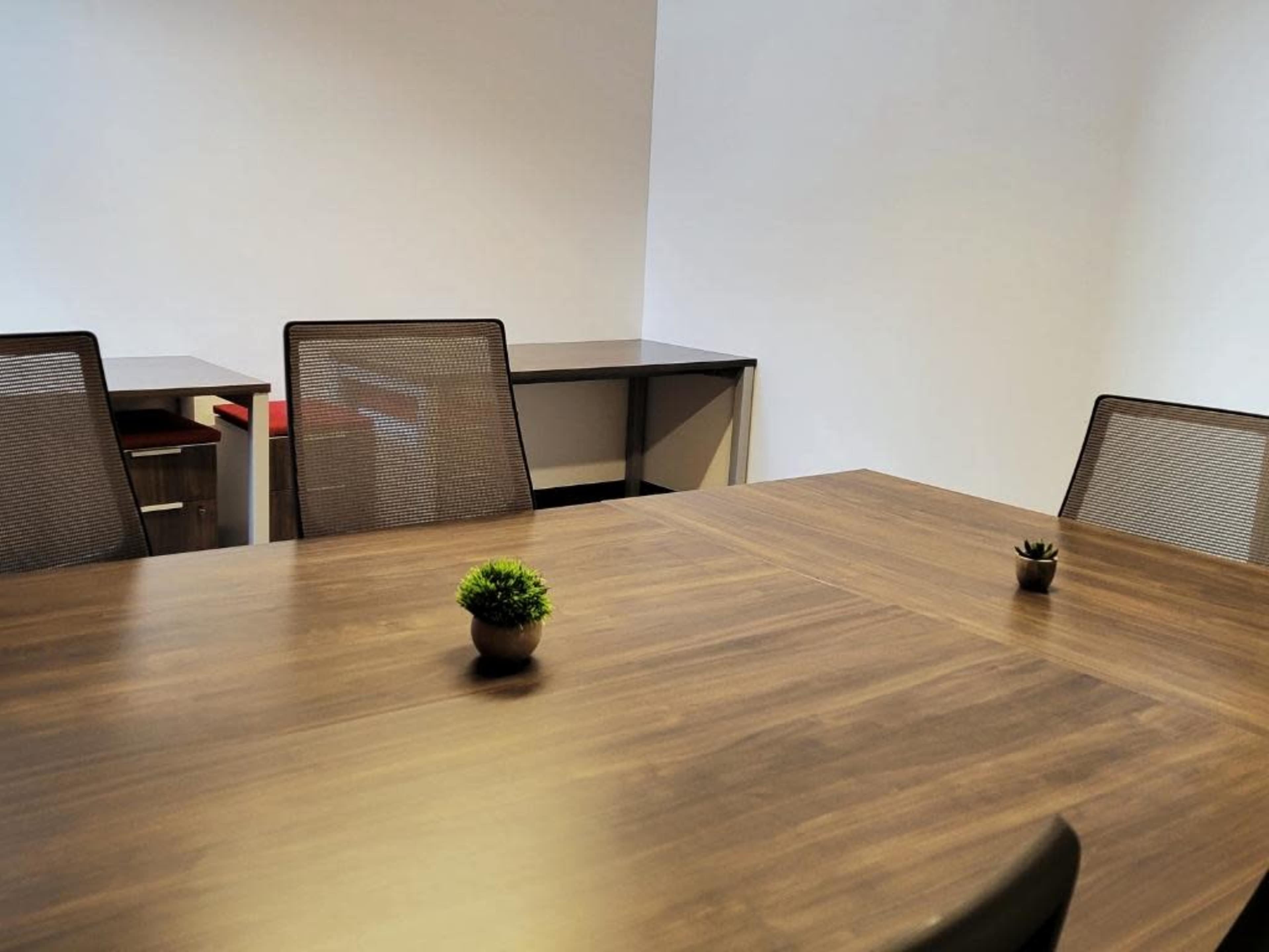 A conference room with a wooden table and several mesh chairs, featuring small potted plants as centerpieces.