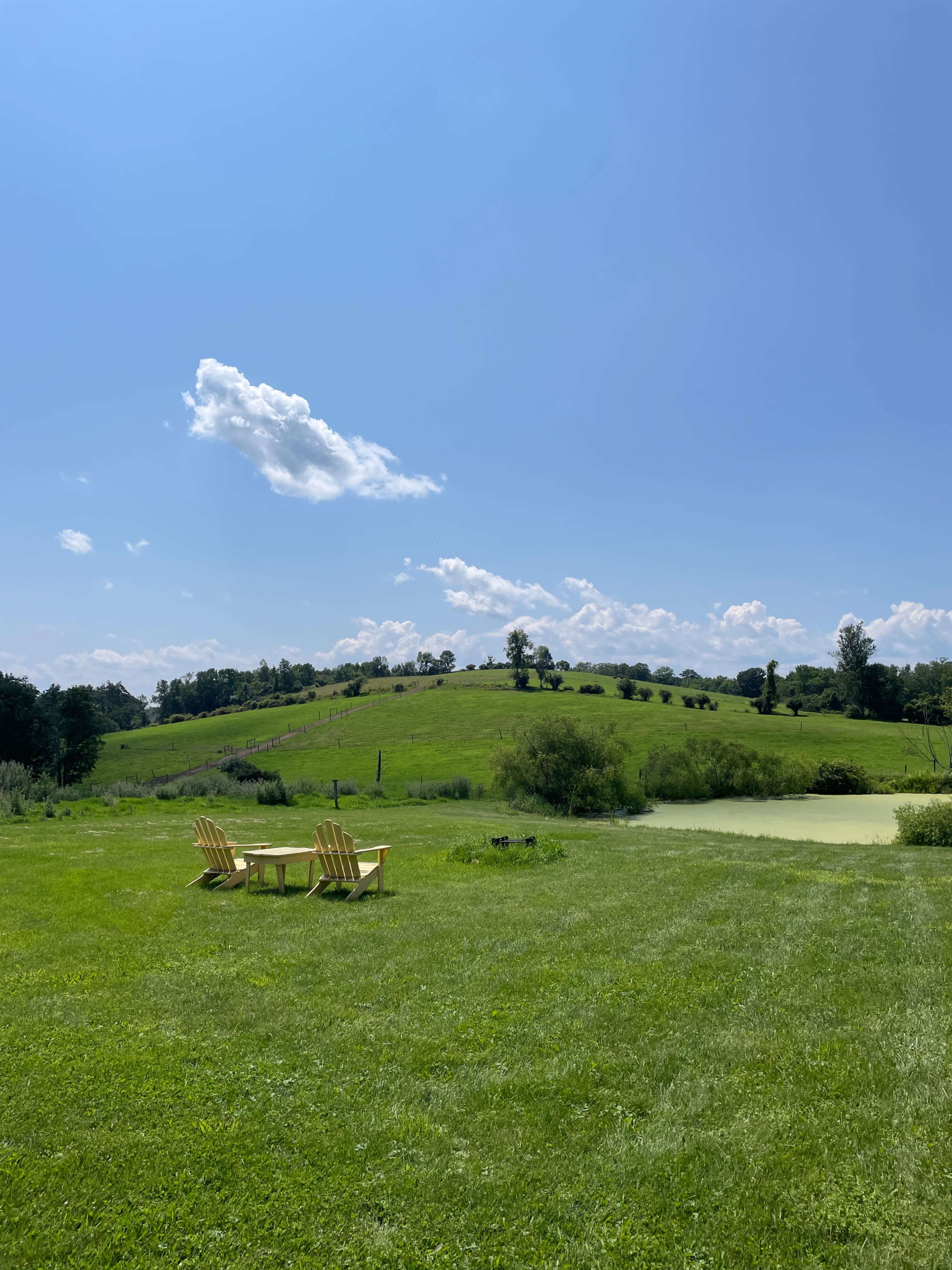 A set of yellow Adirondack chairs sits on a grassy area overlooking a green hillside dotted with trees under a blue sky with scattered clouds.