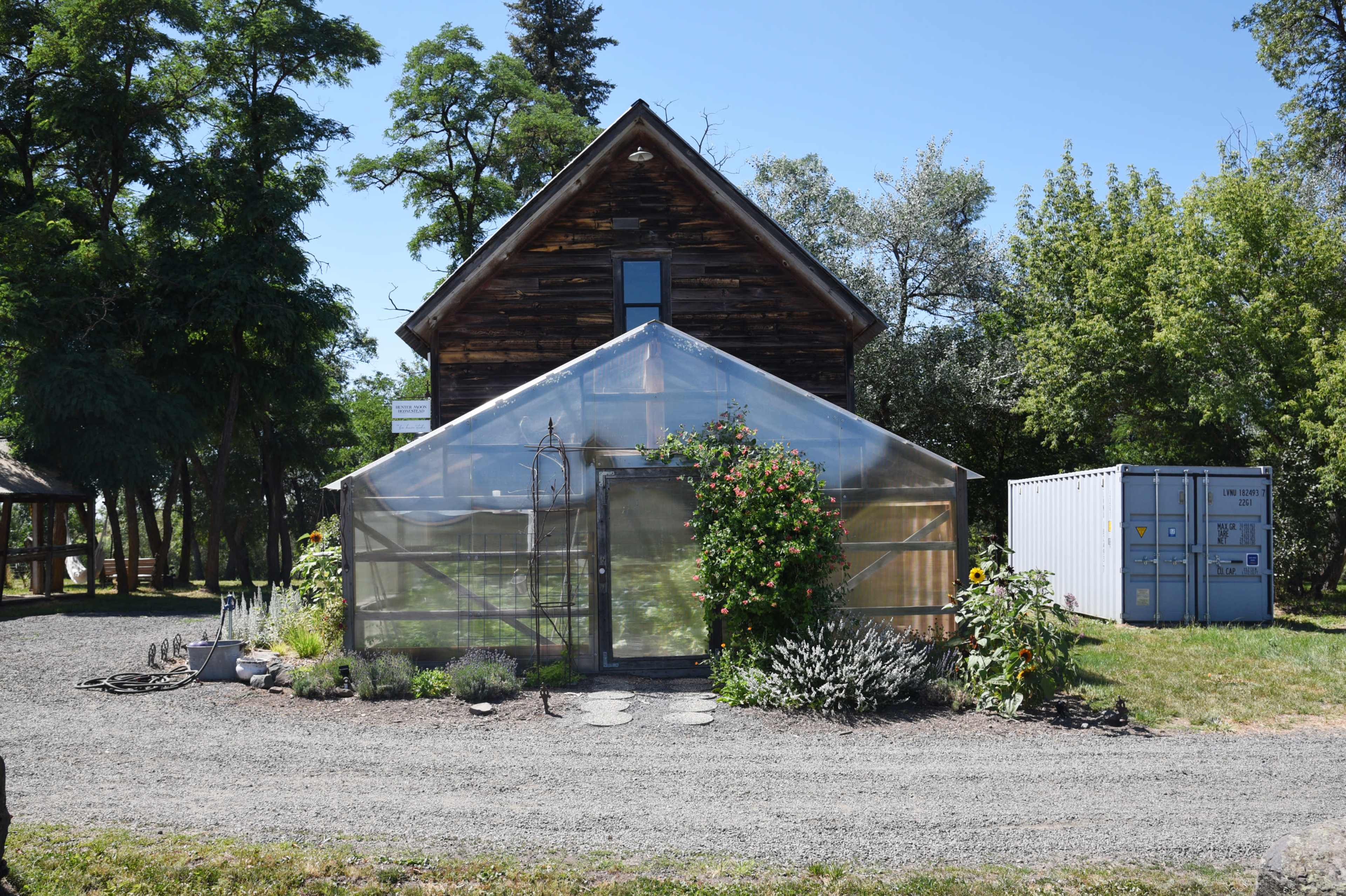 A transparent greenhouse with a metal door is situated in front of a wooden house, surrounded by various plants and a shipping container.