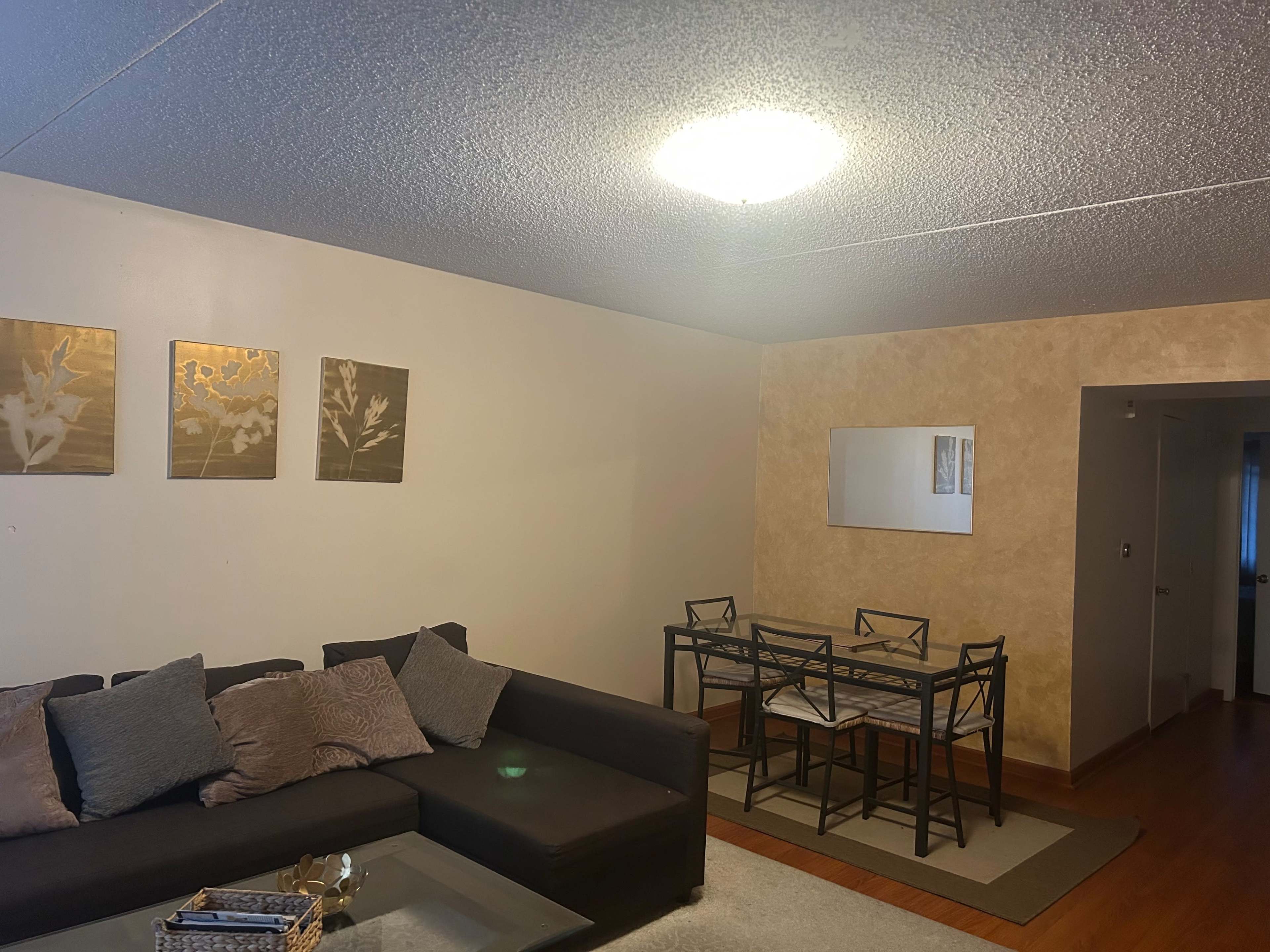 The image shows a living area with a dark sofa, a glass coffee table, and a dining set consisting of a rectangular table and several chairs, illuminated by a ceiling light.