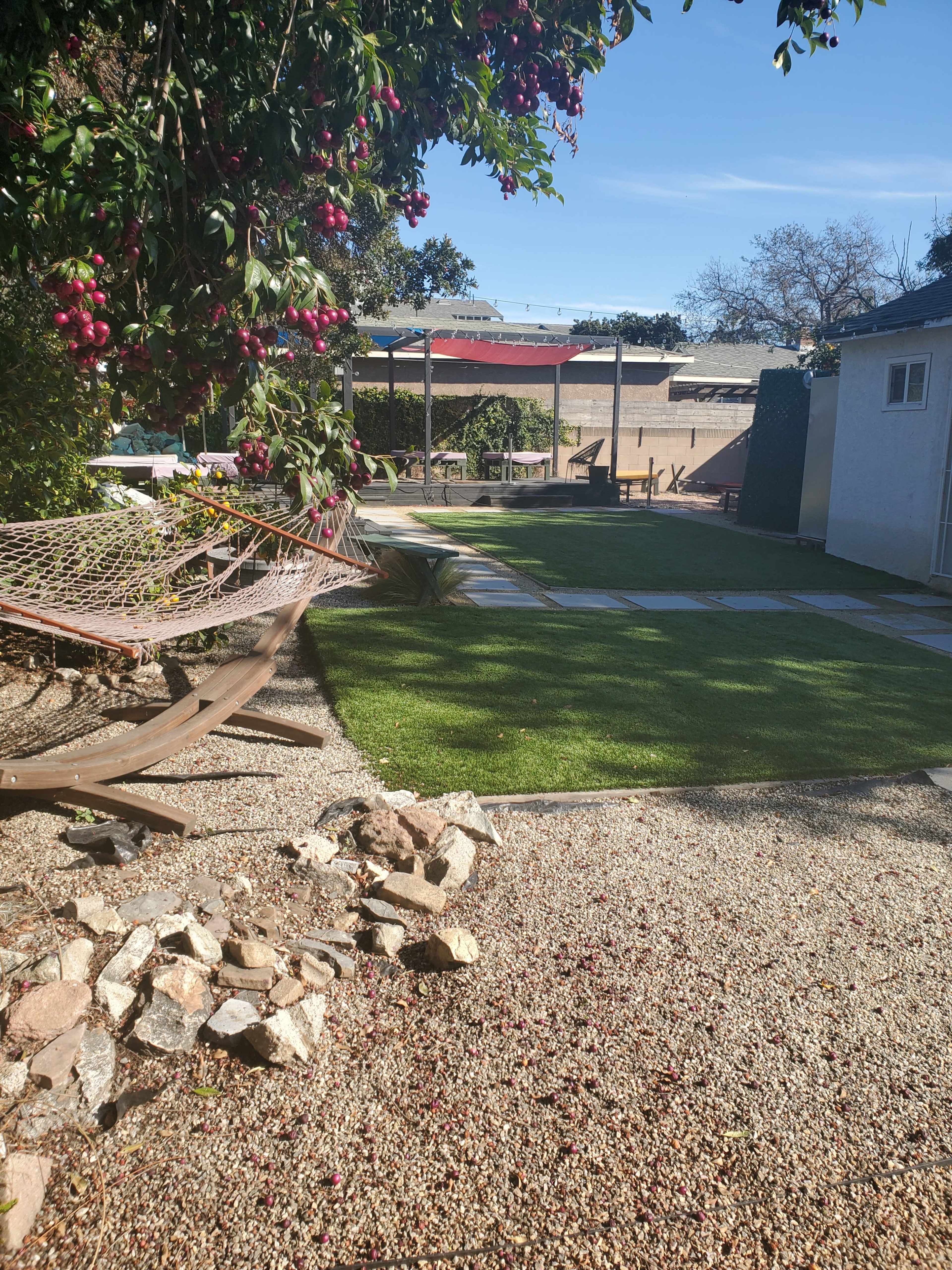 A backyard area with a hammock, a green lawn, gravel pathways, and a tree bearing red fruit.