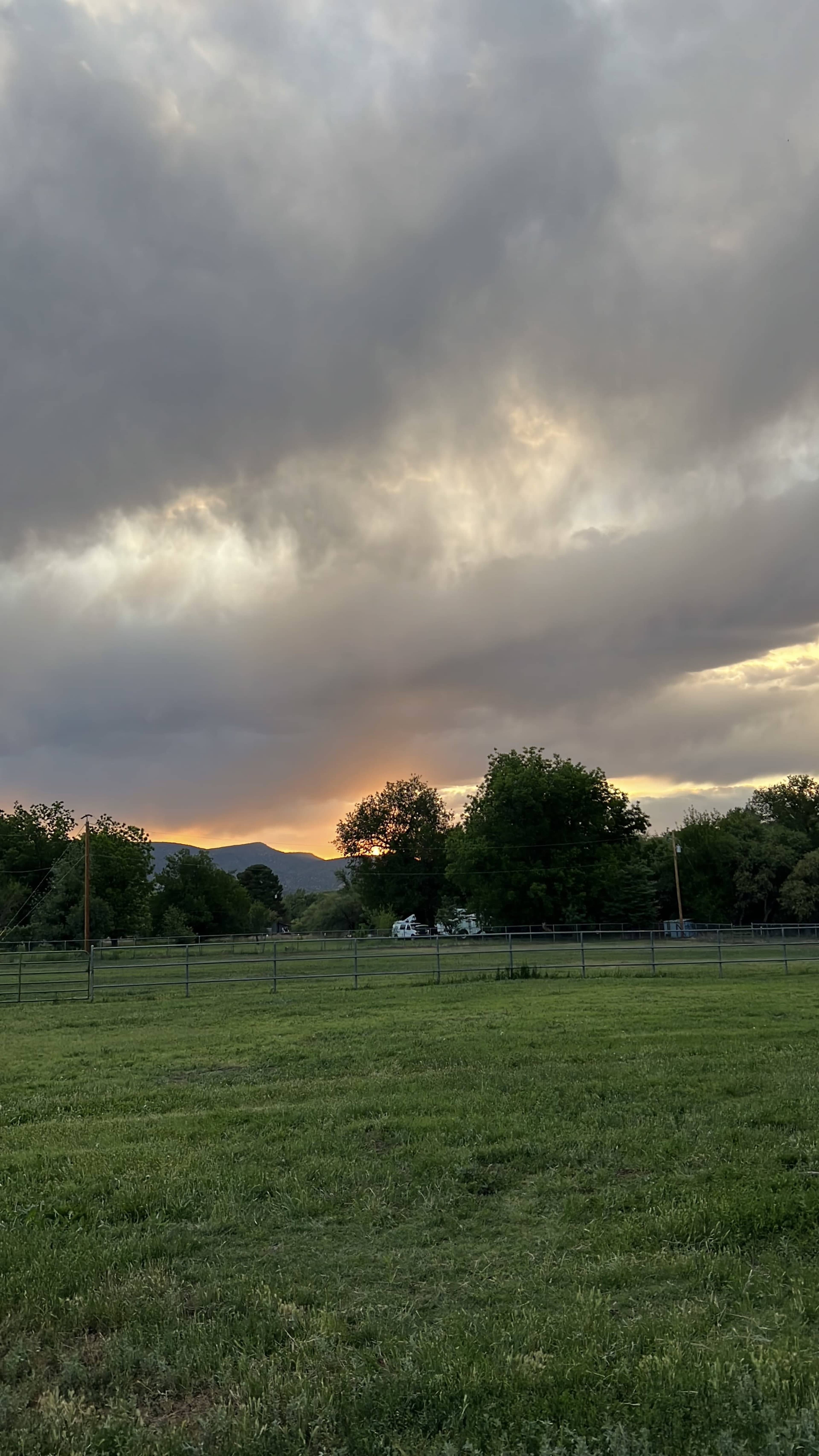 Country Pasture with 3 beautiful horses Image in , Camp Verde, AZ