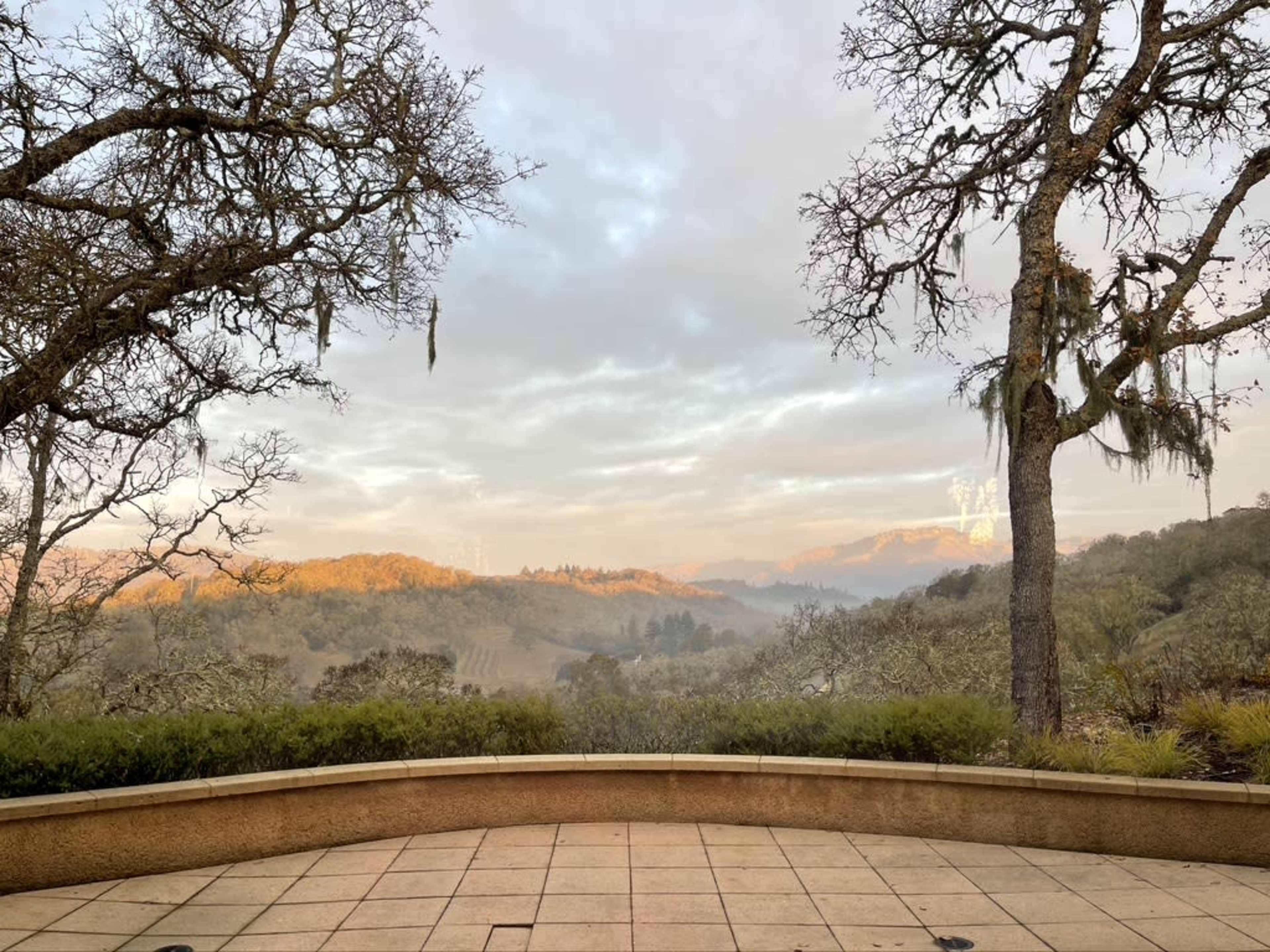 The image shows a view of rolling hills in the distance, framed by bare trees and a stone patio in the foreground under a cloudy sky.