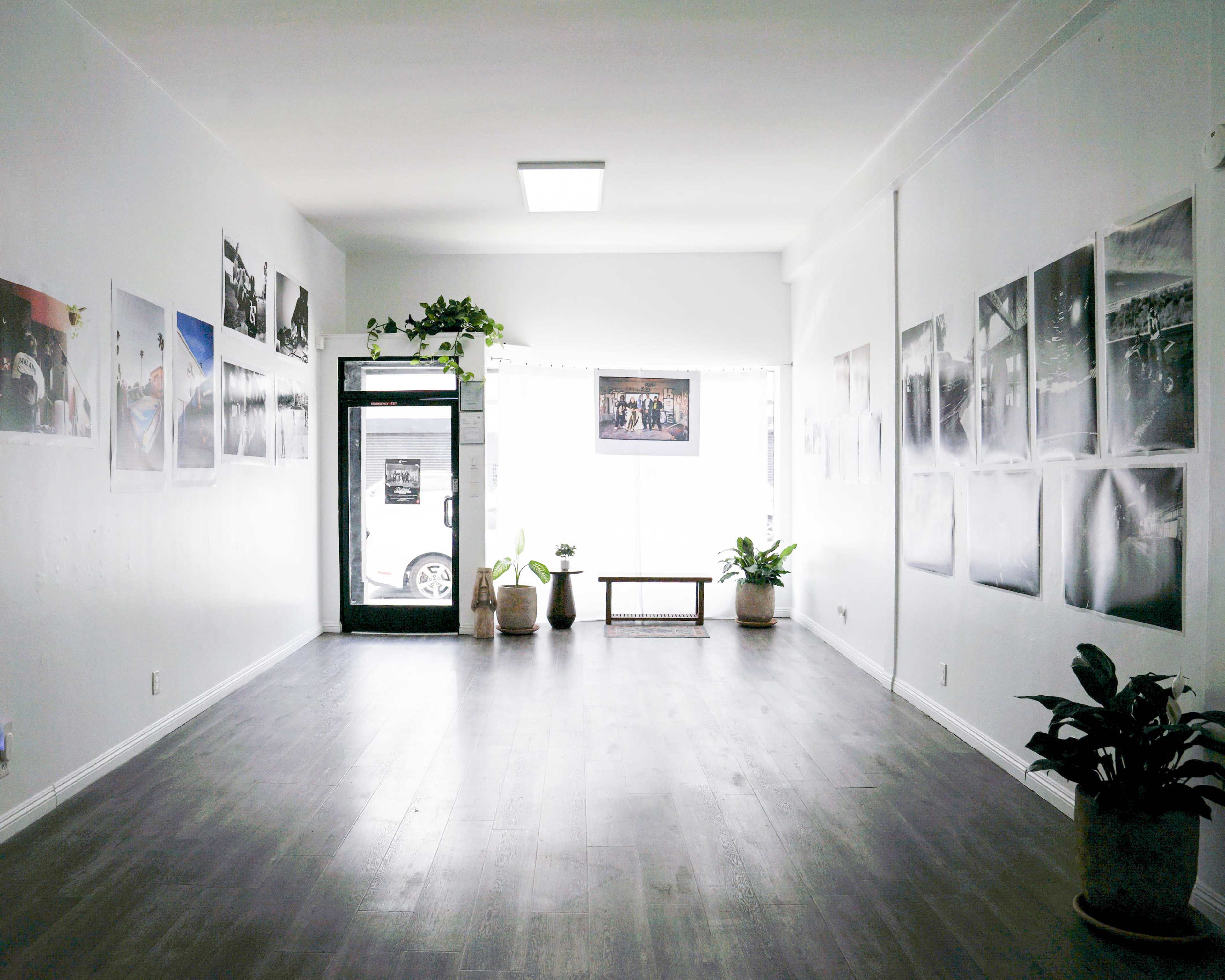 The image shows a minimalist gallery space with white walls, wooden flooring, and large photographs displayed on the walls, along with a few potted plants.