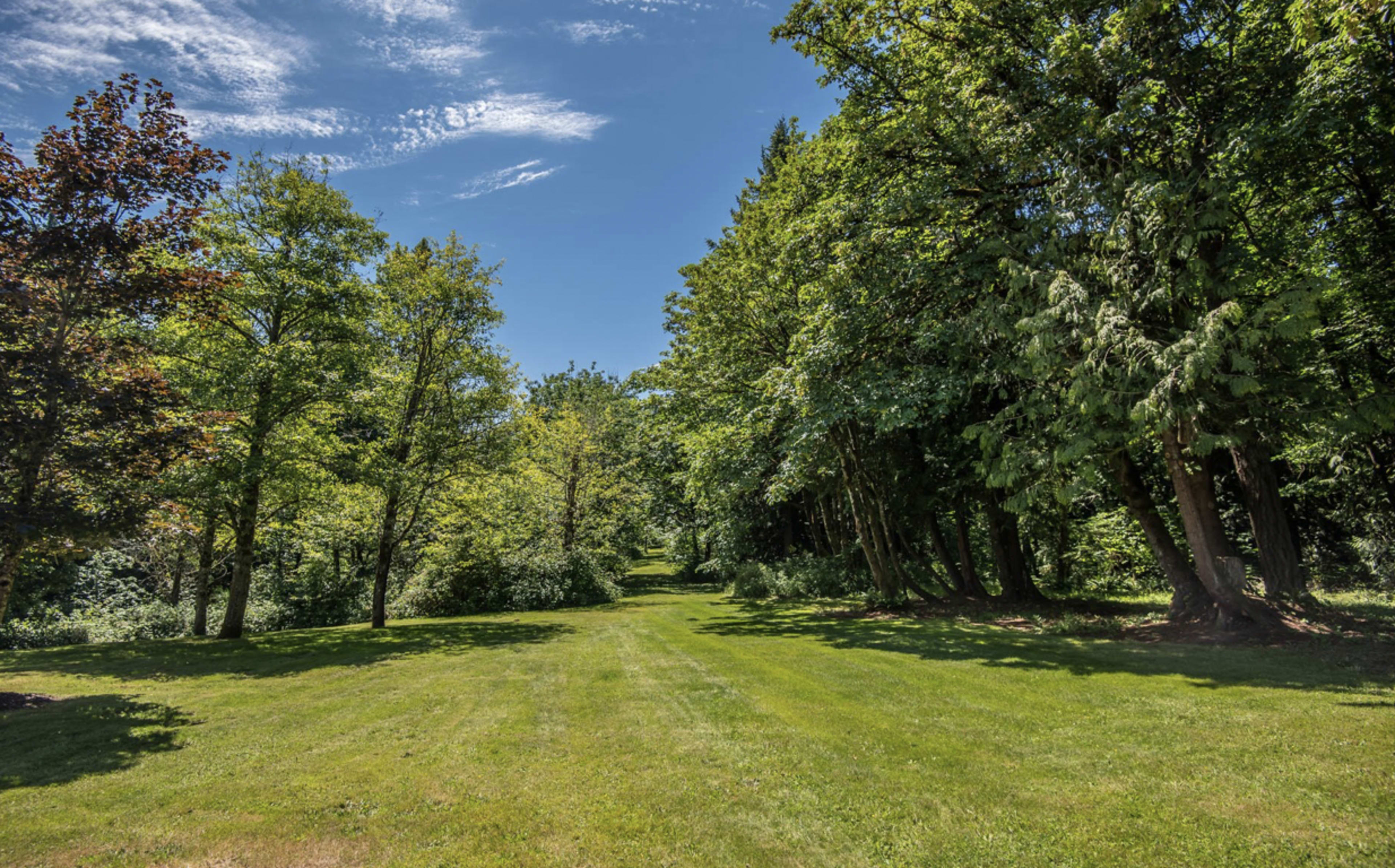 A wide pathway lined by trees leads into a green, grassy area under a blue sky.