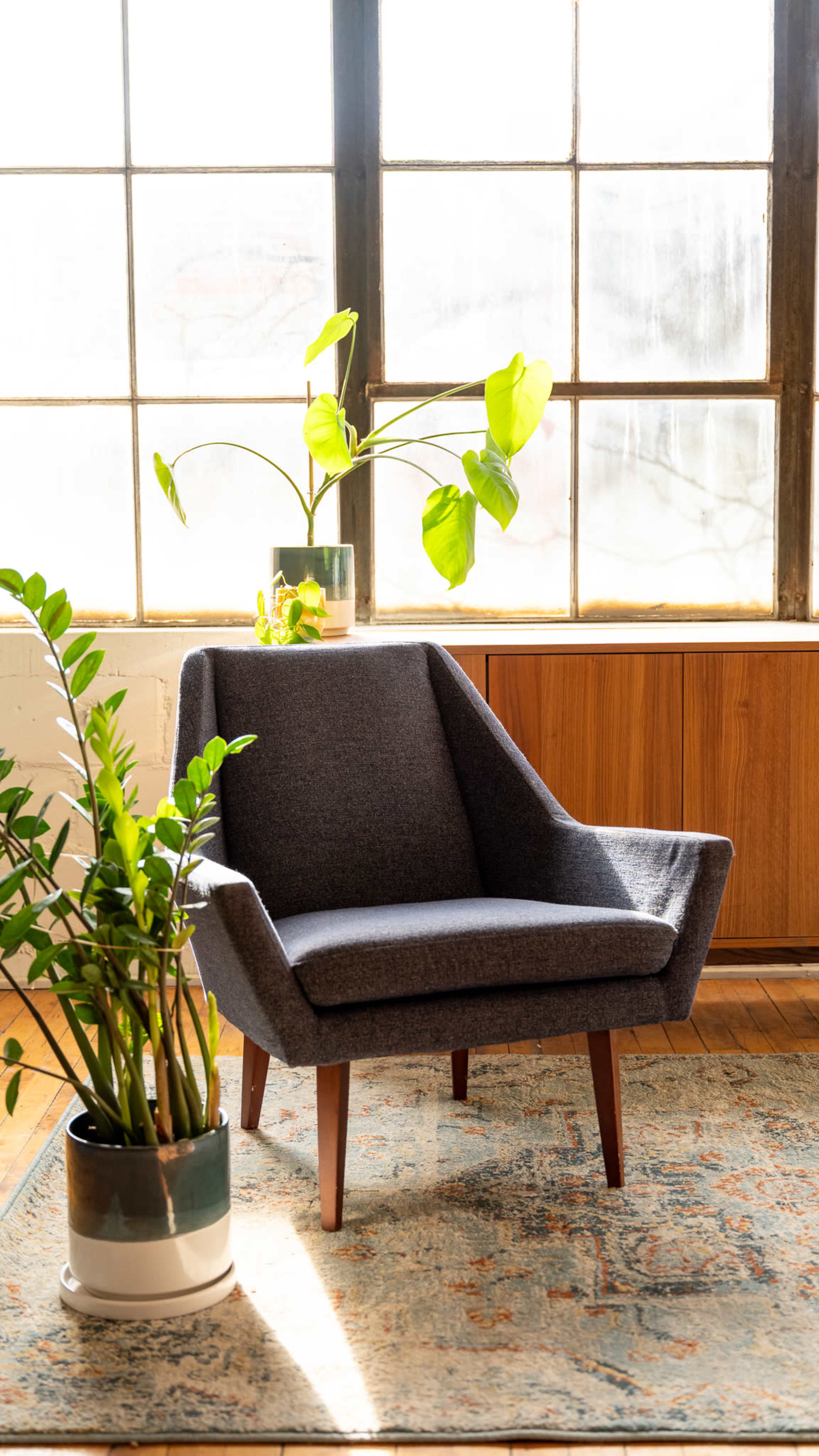 A gray armchair sits beside a potted plant, with sunlight streaming through large windows in a room featuring wooden accents and a patterned rug.