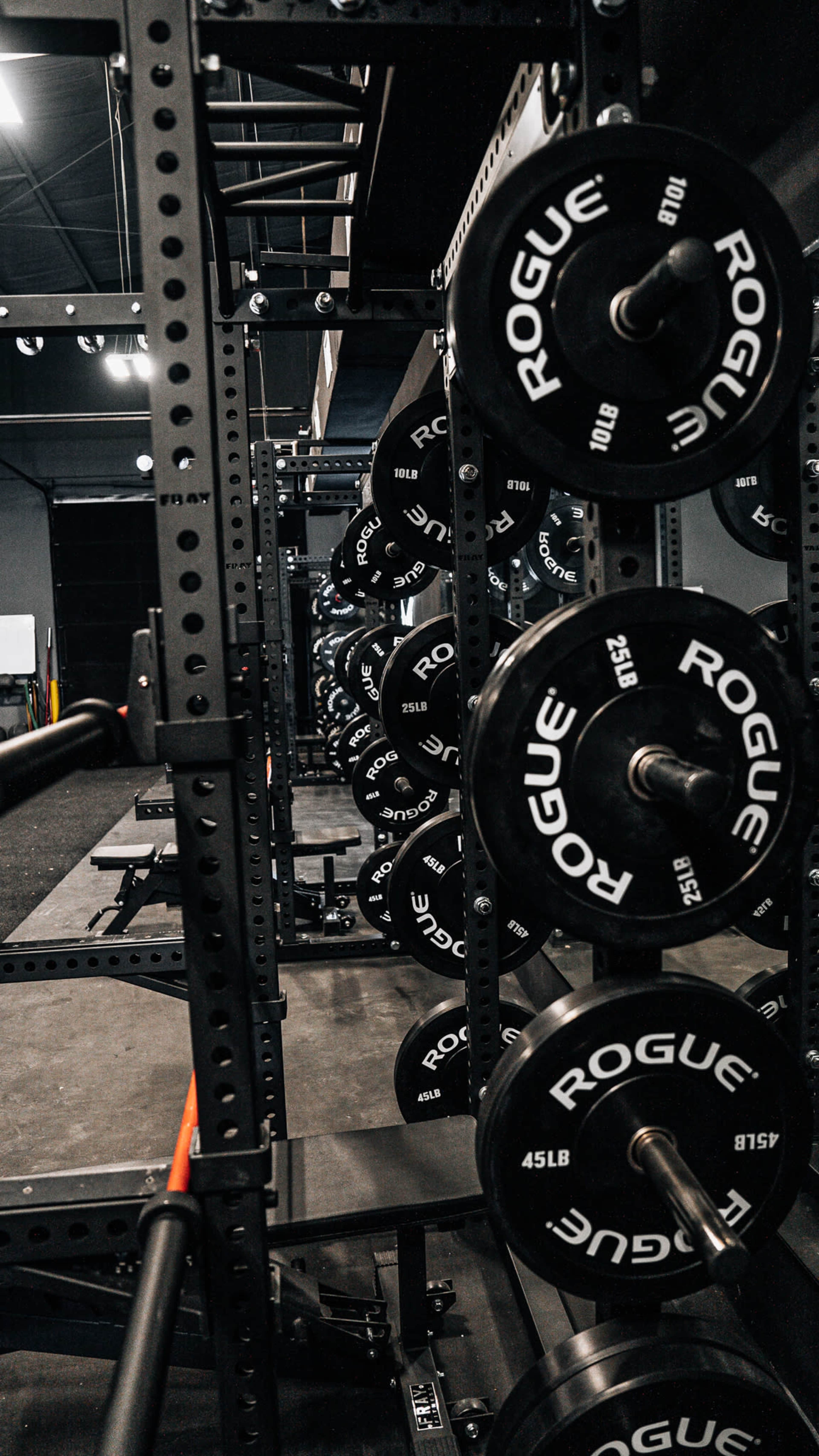 Private functional gym with perfect content lighting! Image in , San Antonio, TX