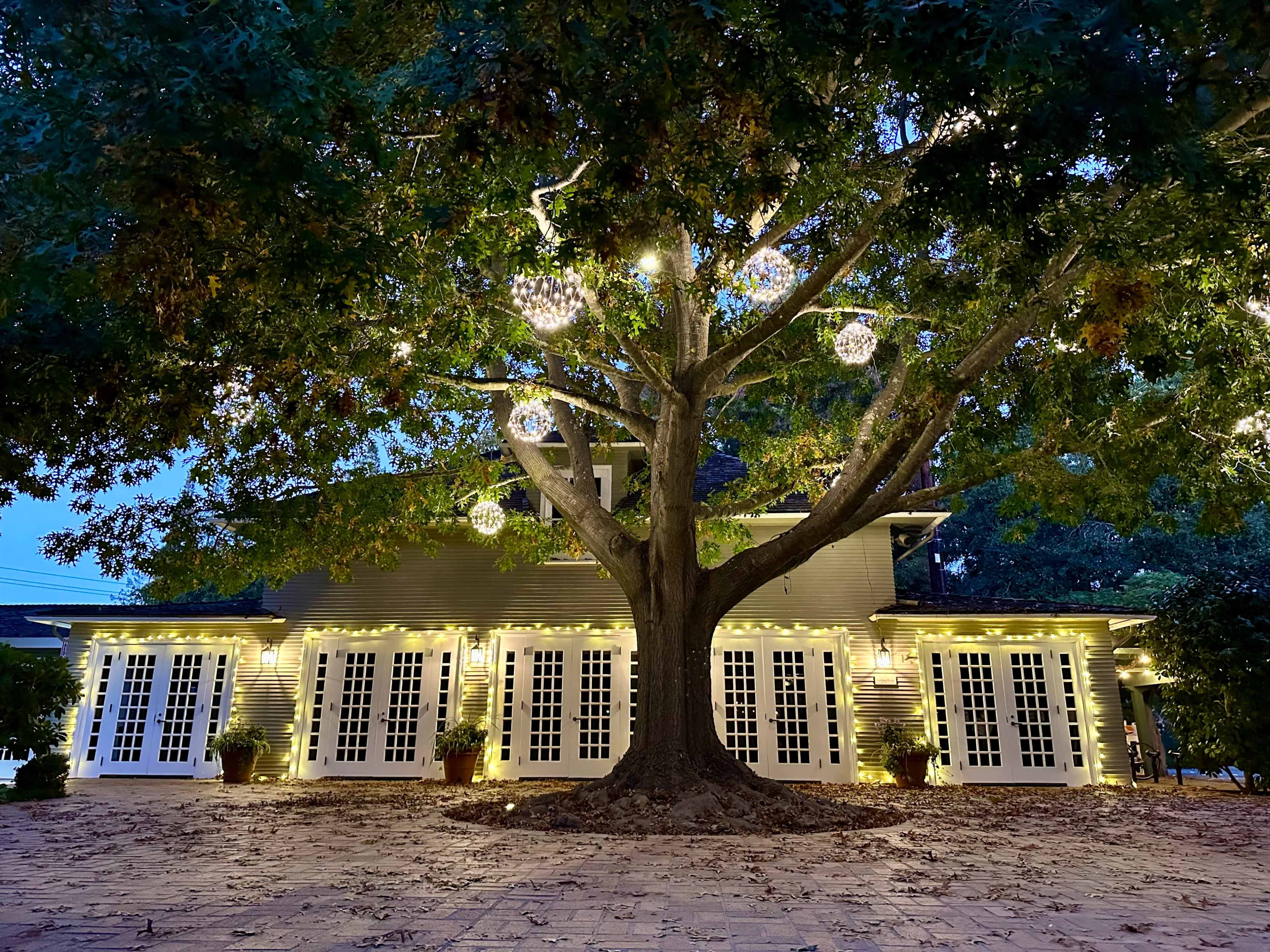 A large tree with hanging decorative lights shades a building featuring multiple windows and a stone patio.
