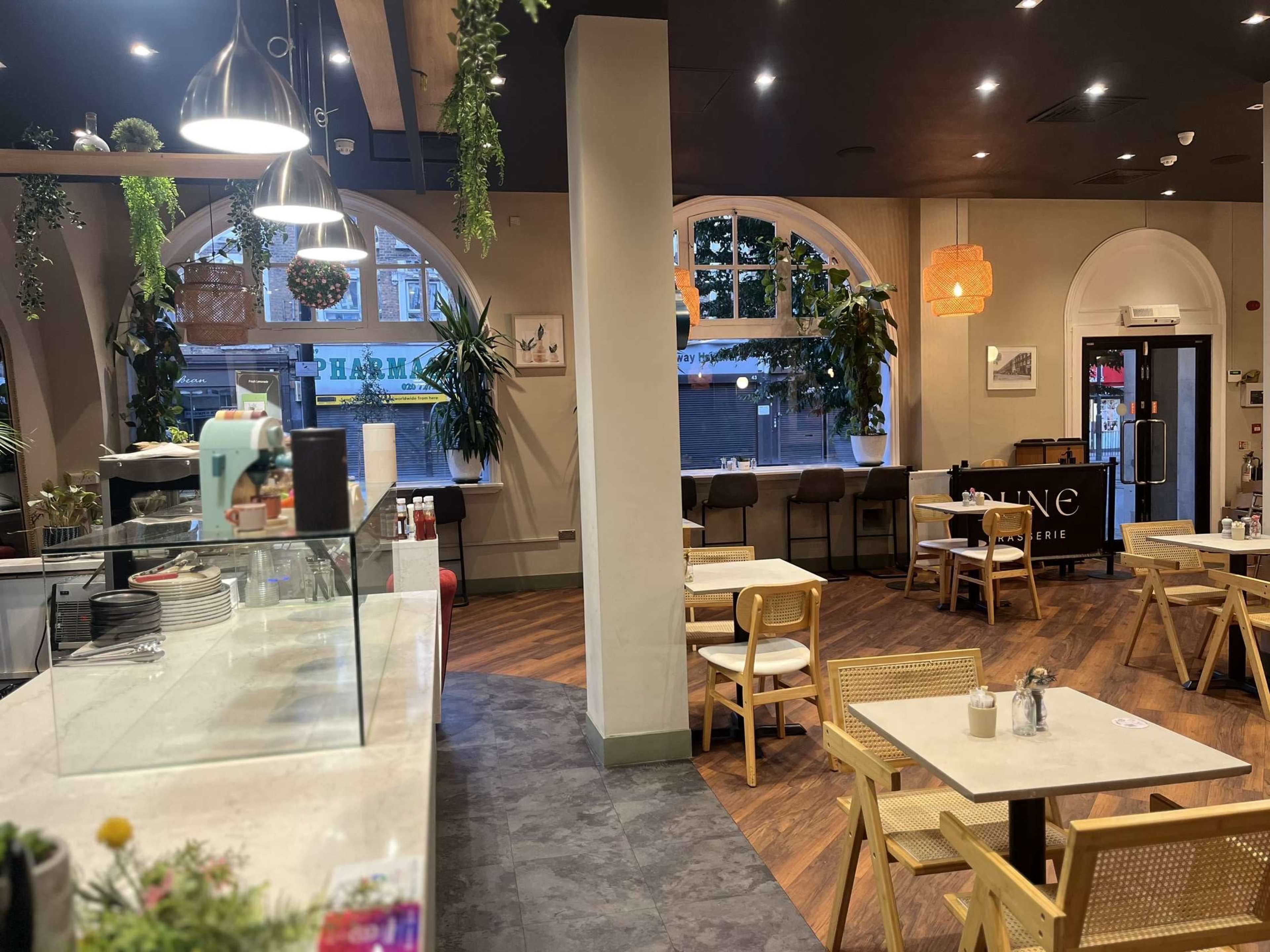 The image shows the interior of a café featuring wooden furnishings, large windows, and plants hanging from the ceiling.