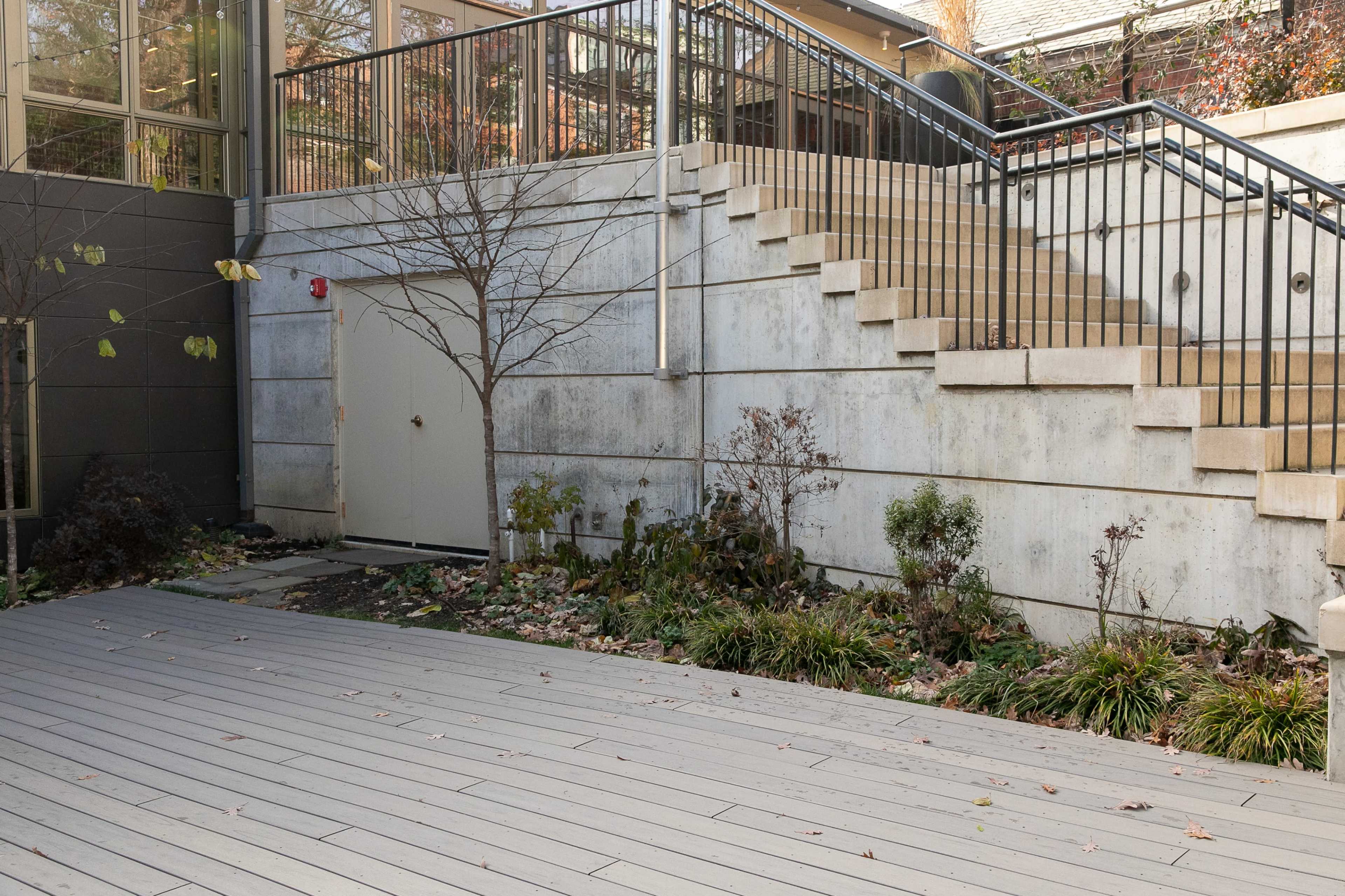 A concrete stairway leads to a door at the base of a building, surrounded by a landscaped area with dry leaves and shrubs.