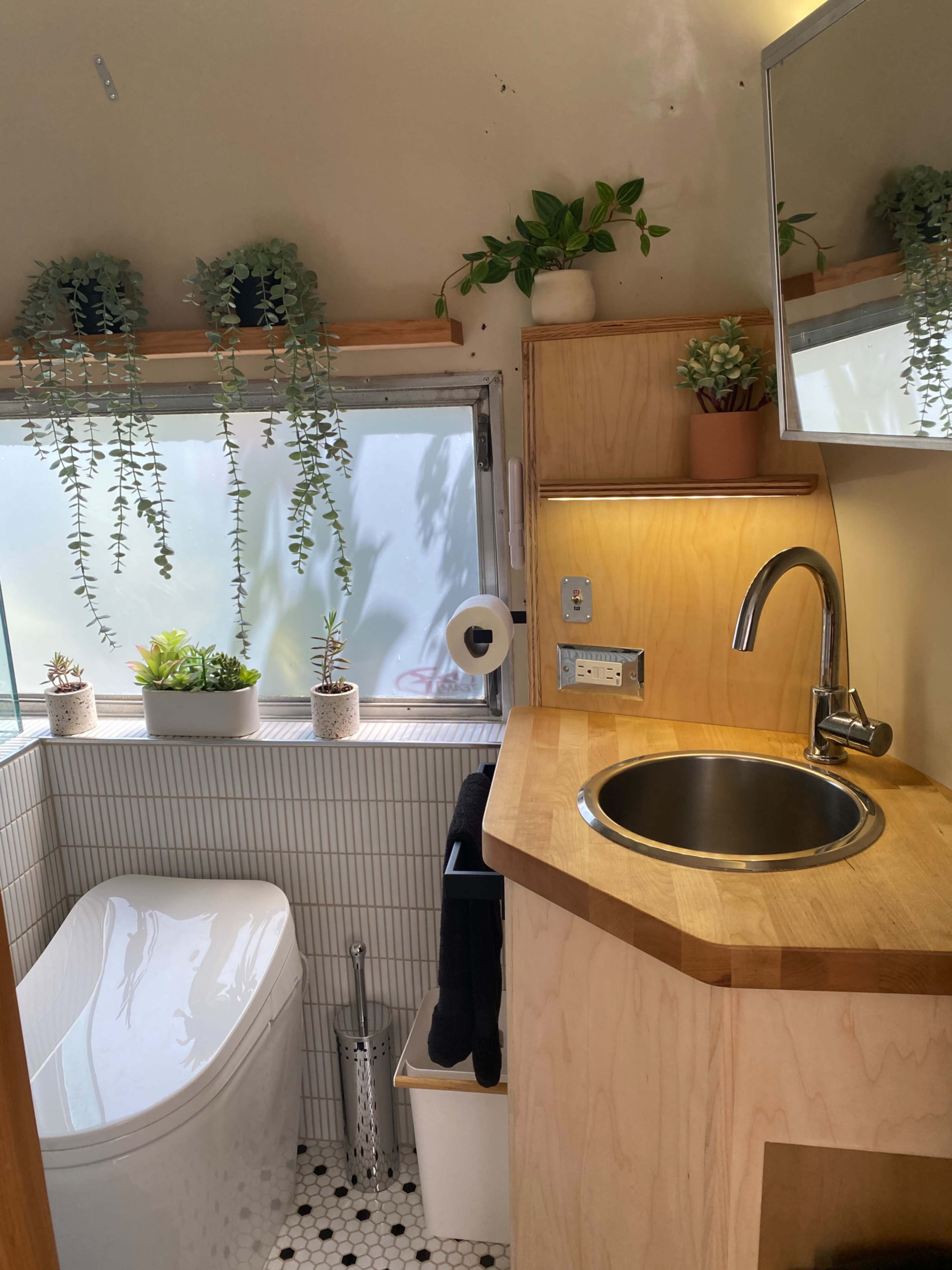 A small bathroom features a wooden countertop with a sink, a mirrored cabinet, plants on shelves, and a toilet beside a window.