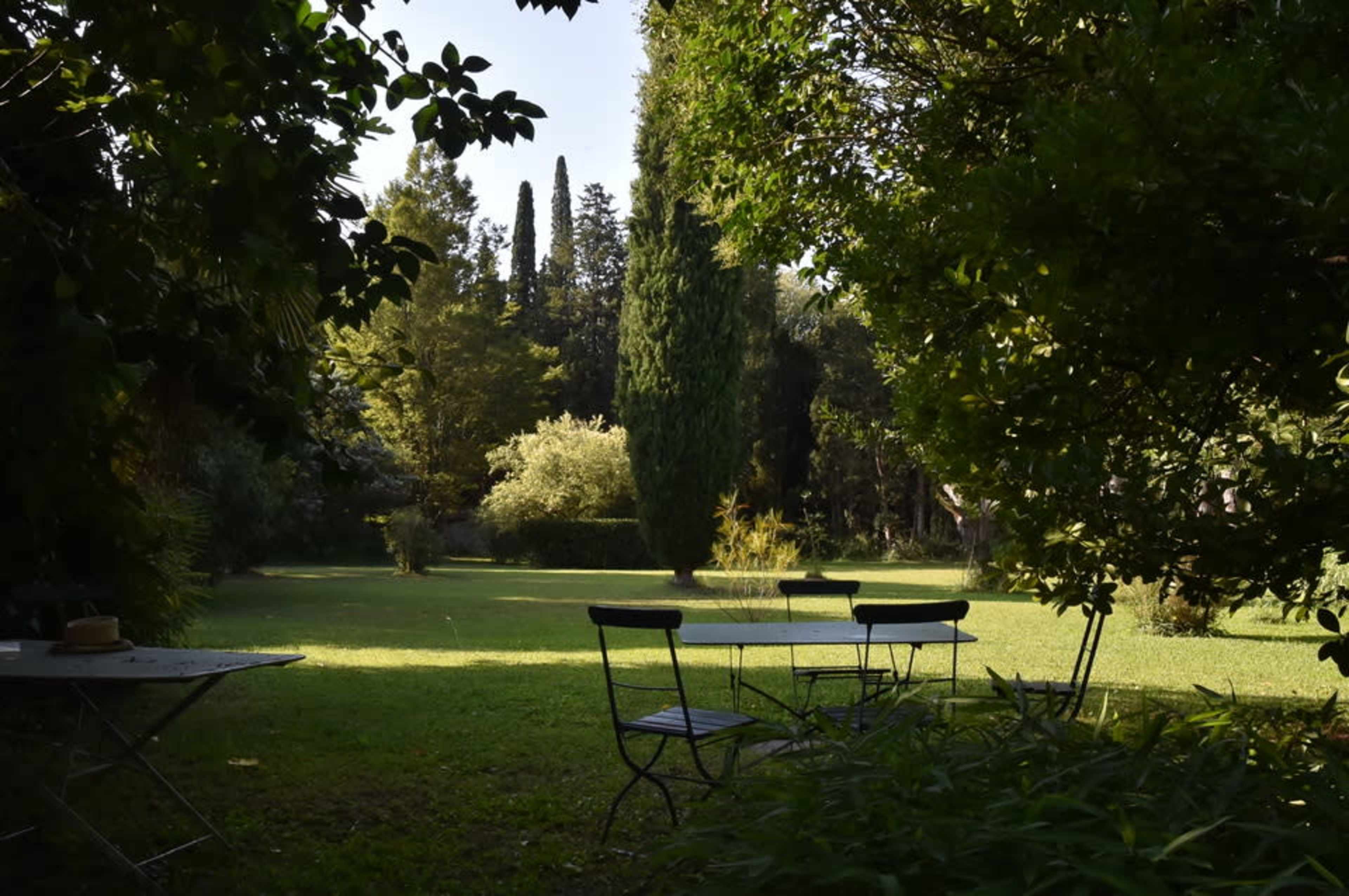 A shaded outdoor area features several metal tables and chairs surrounded by trees and lush greenery.