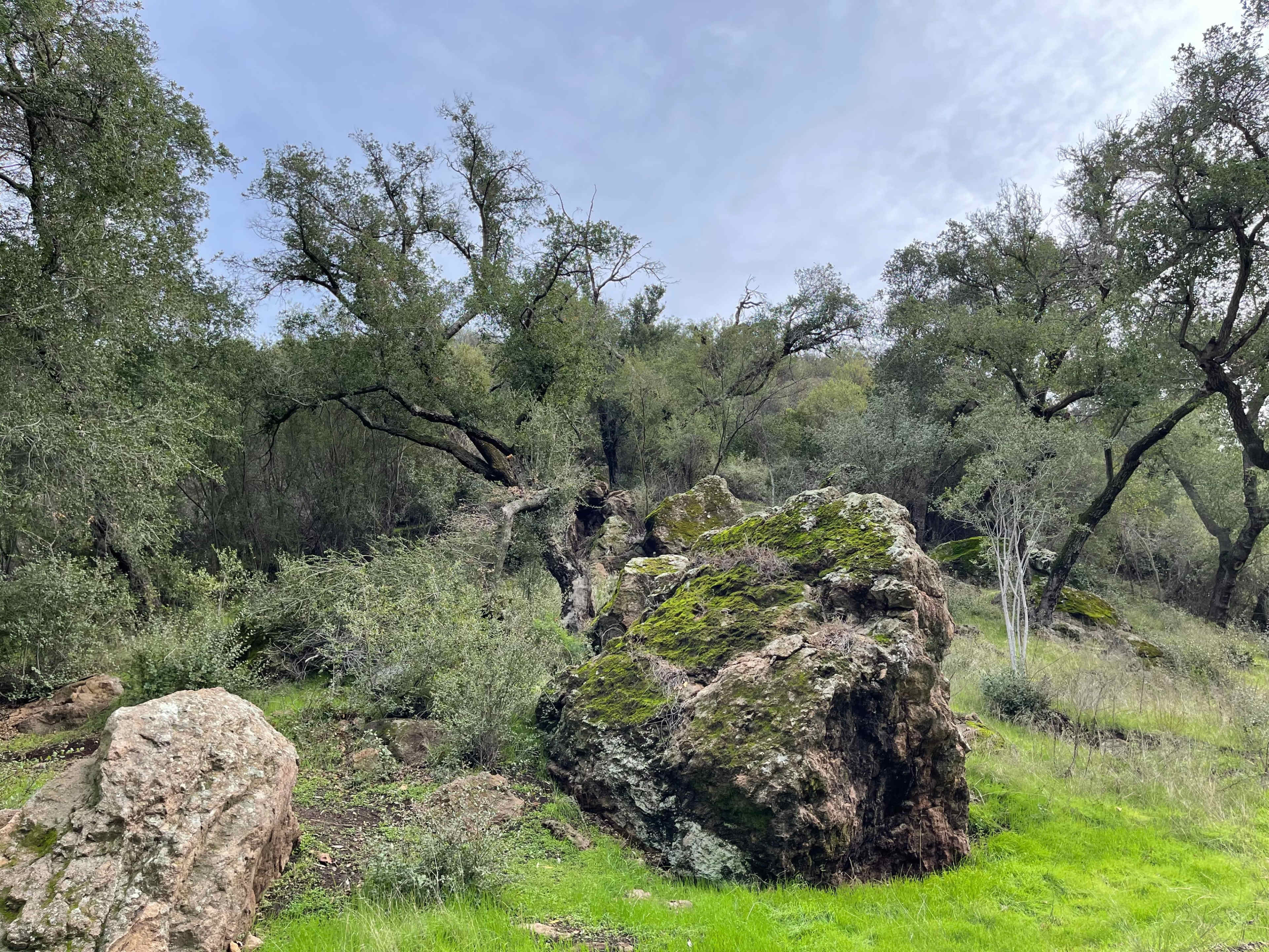 The image shows a rocky area surrounded by green foliage and trees under a cloudy sky.